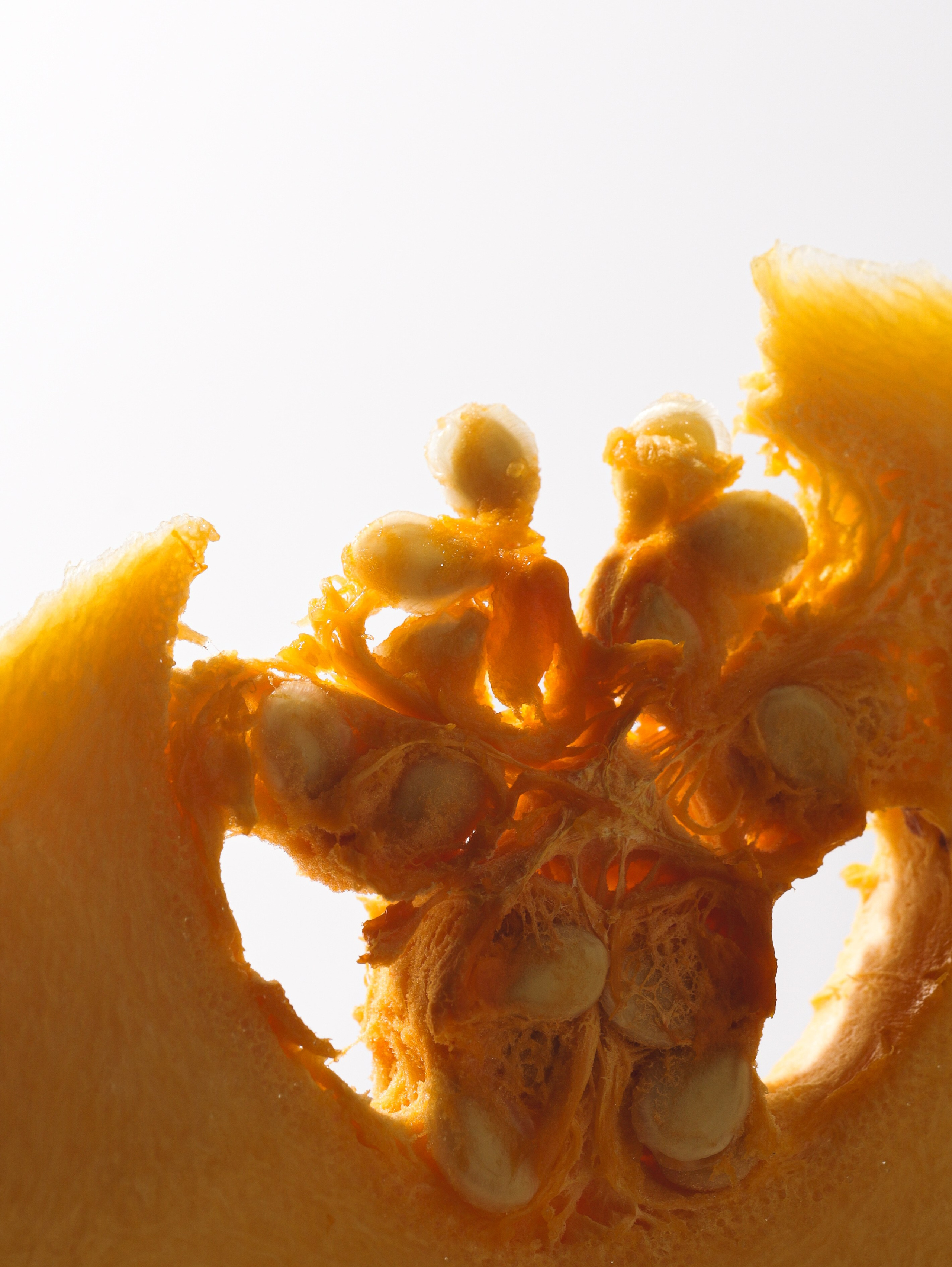 Food. Алёна Стерхова — Предметный и портретный фотограф. Ижевск