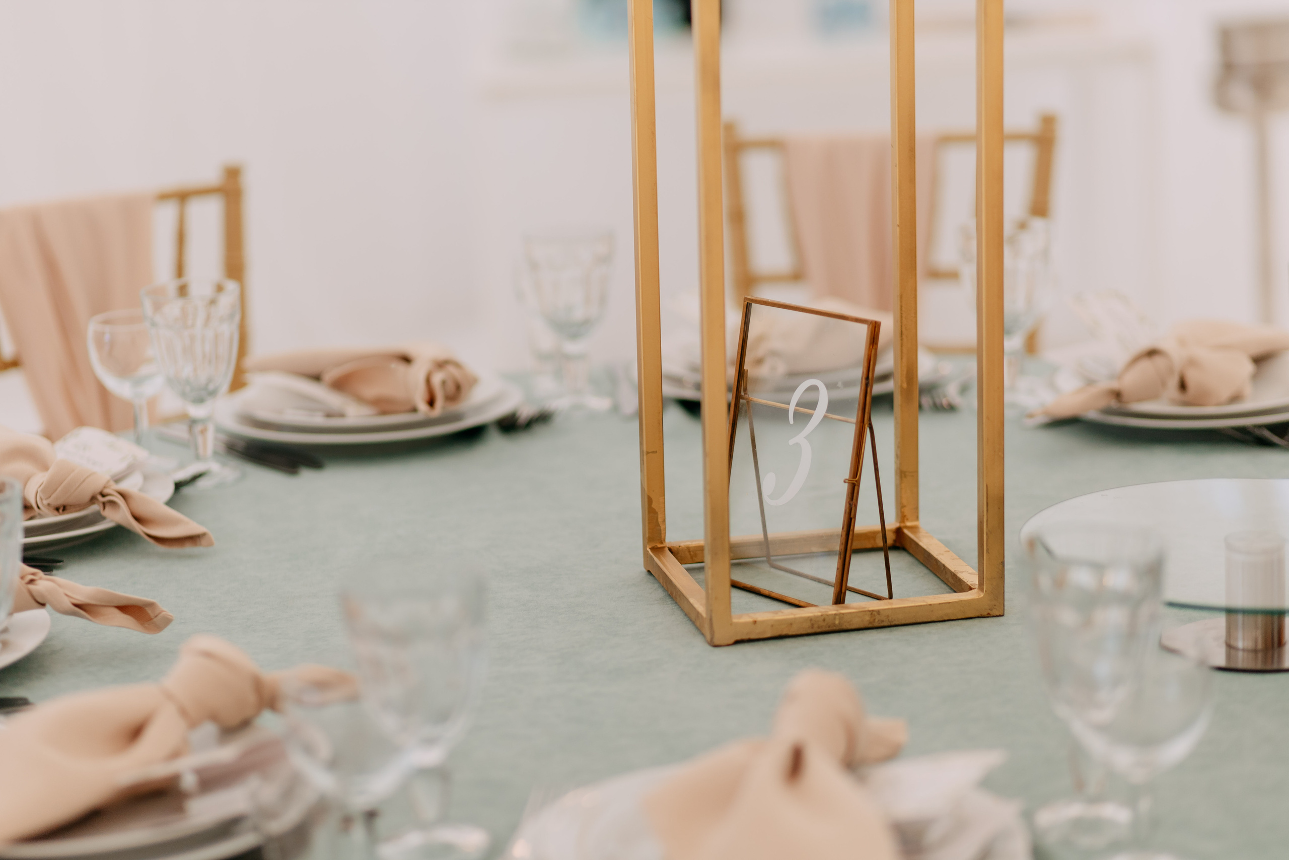 Александр и Виктория. Фото и видео съемка. Андрей Ионов