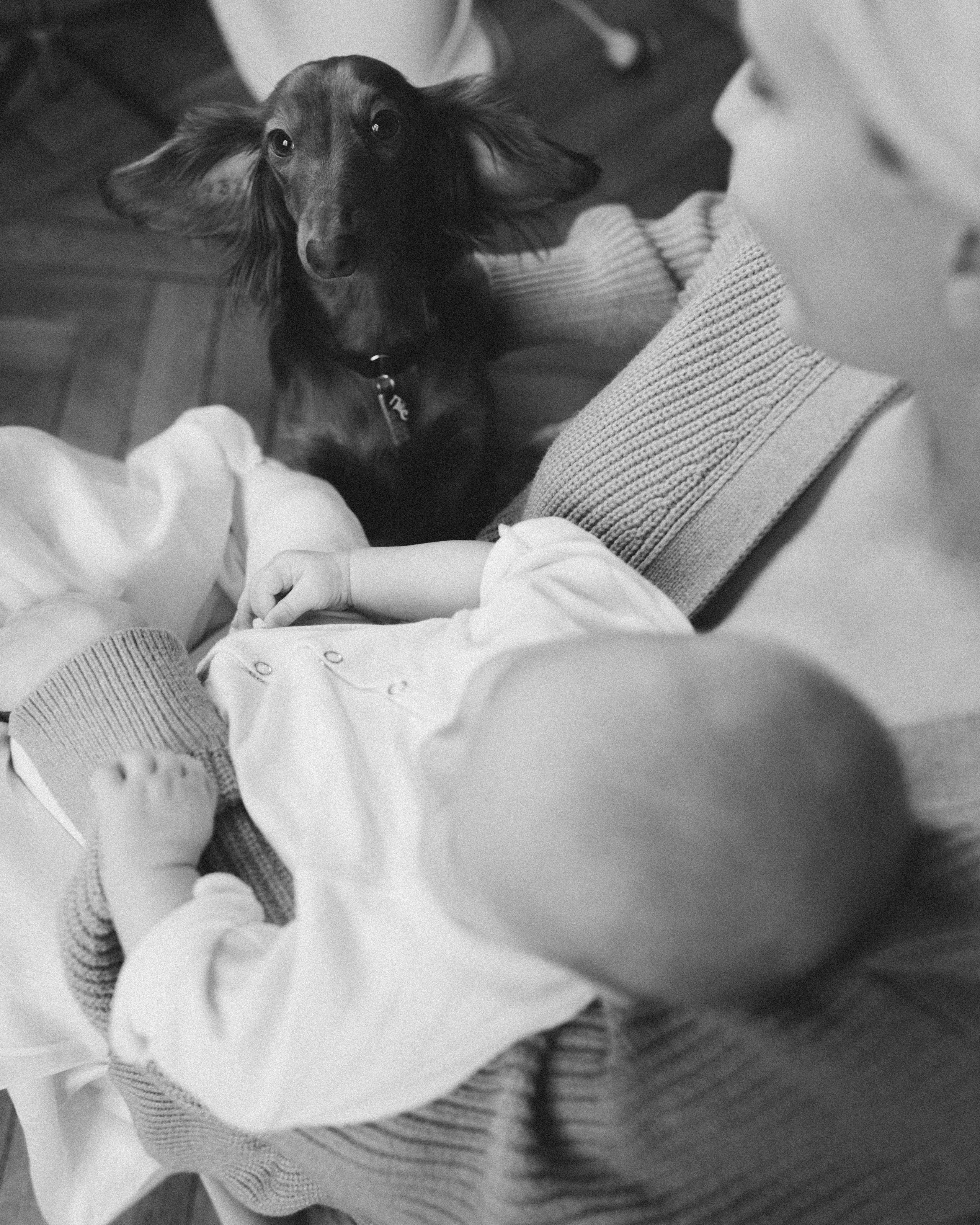 Дети. Говорим о Вас