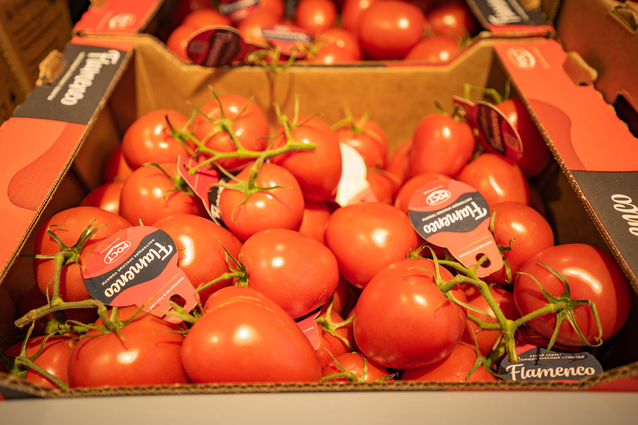 Открытие магазина «Верный». Концертный и репортажный фотограф в Санкт-Петербурге Слава Пахомов