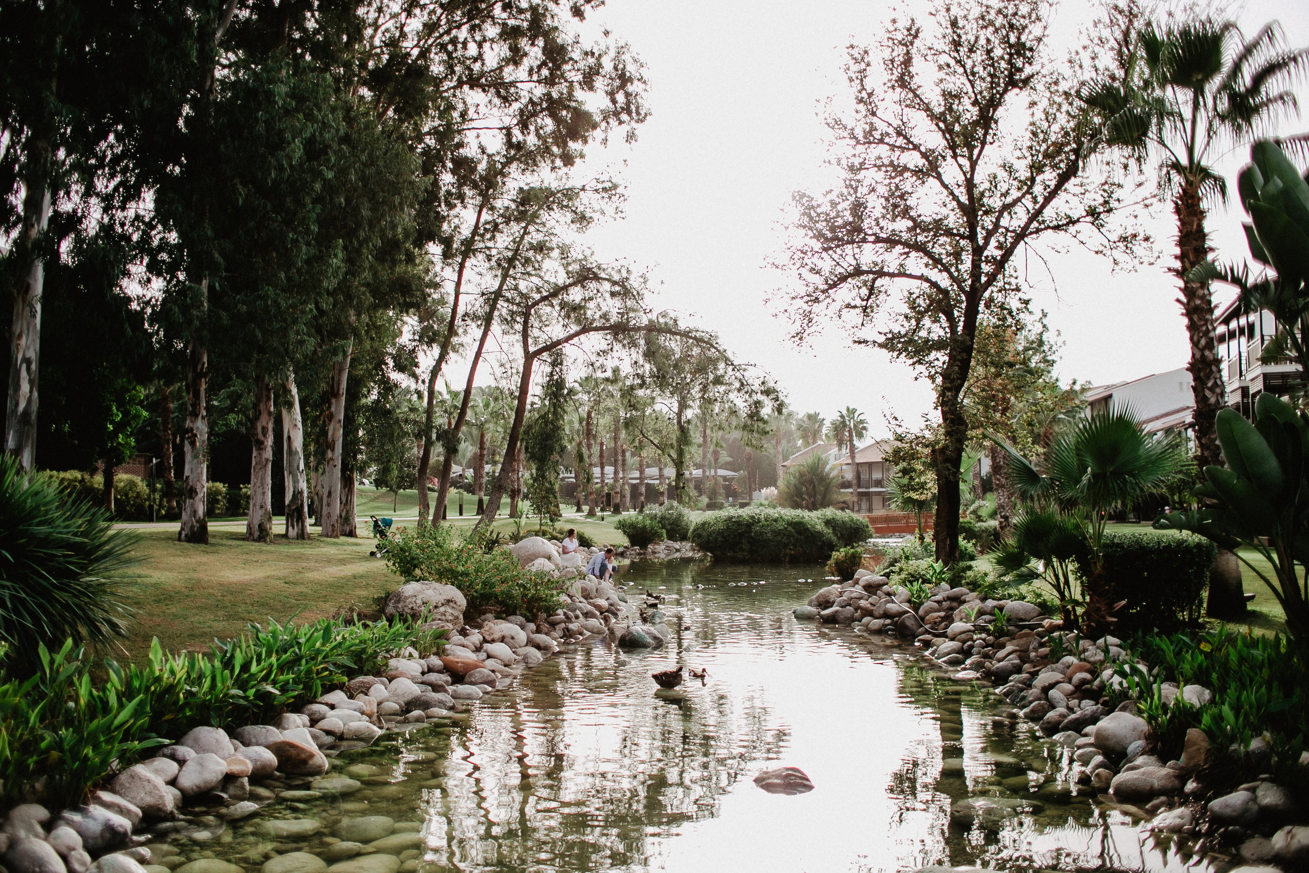 Частные фотосессии цена. Фотограф, видеограф на свадьбу в Москве Никита Назаров