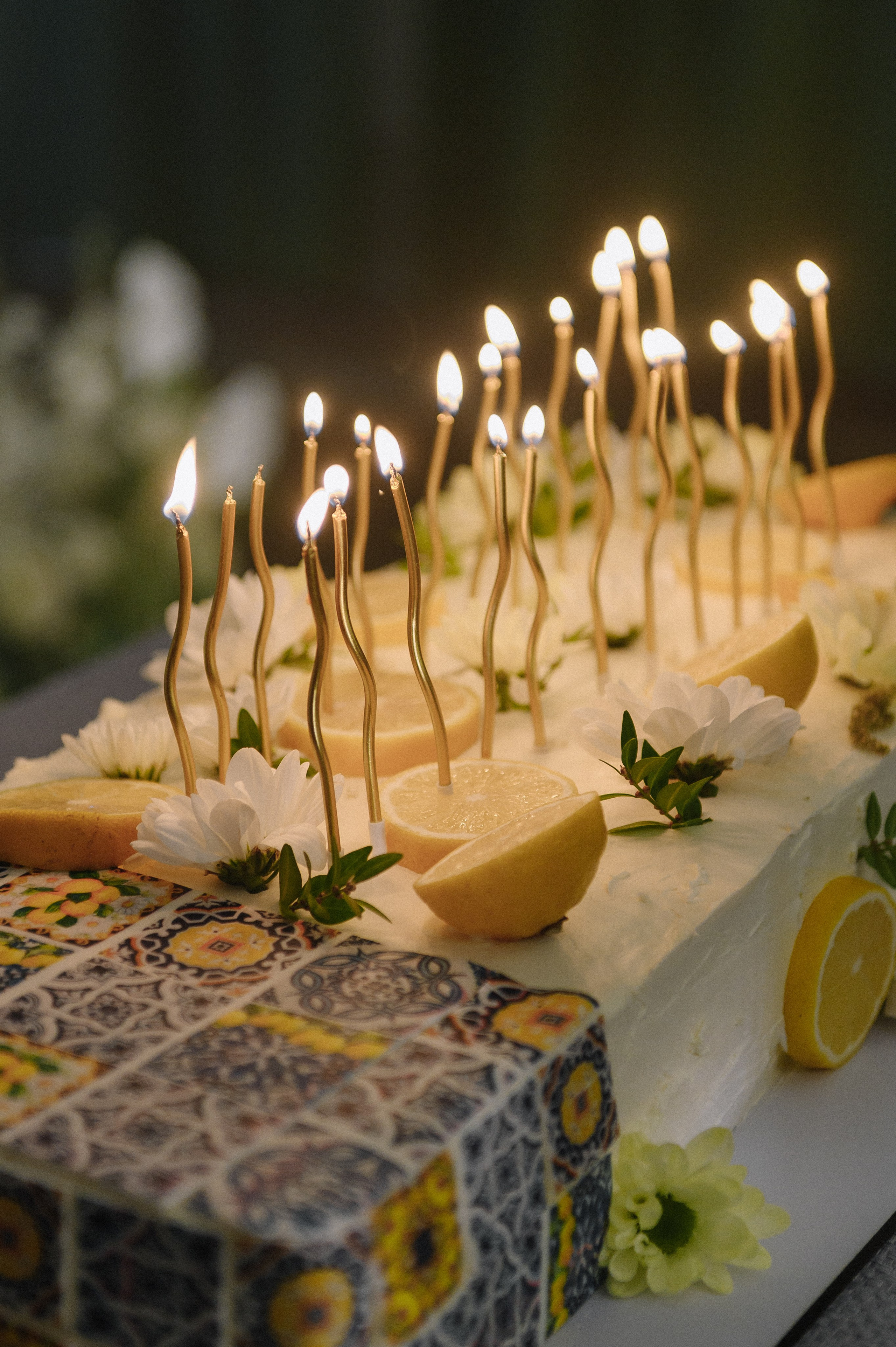 Владимир и Елизавета. Свадебный фотограф