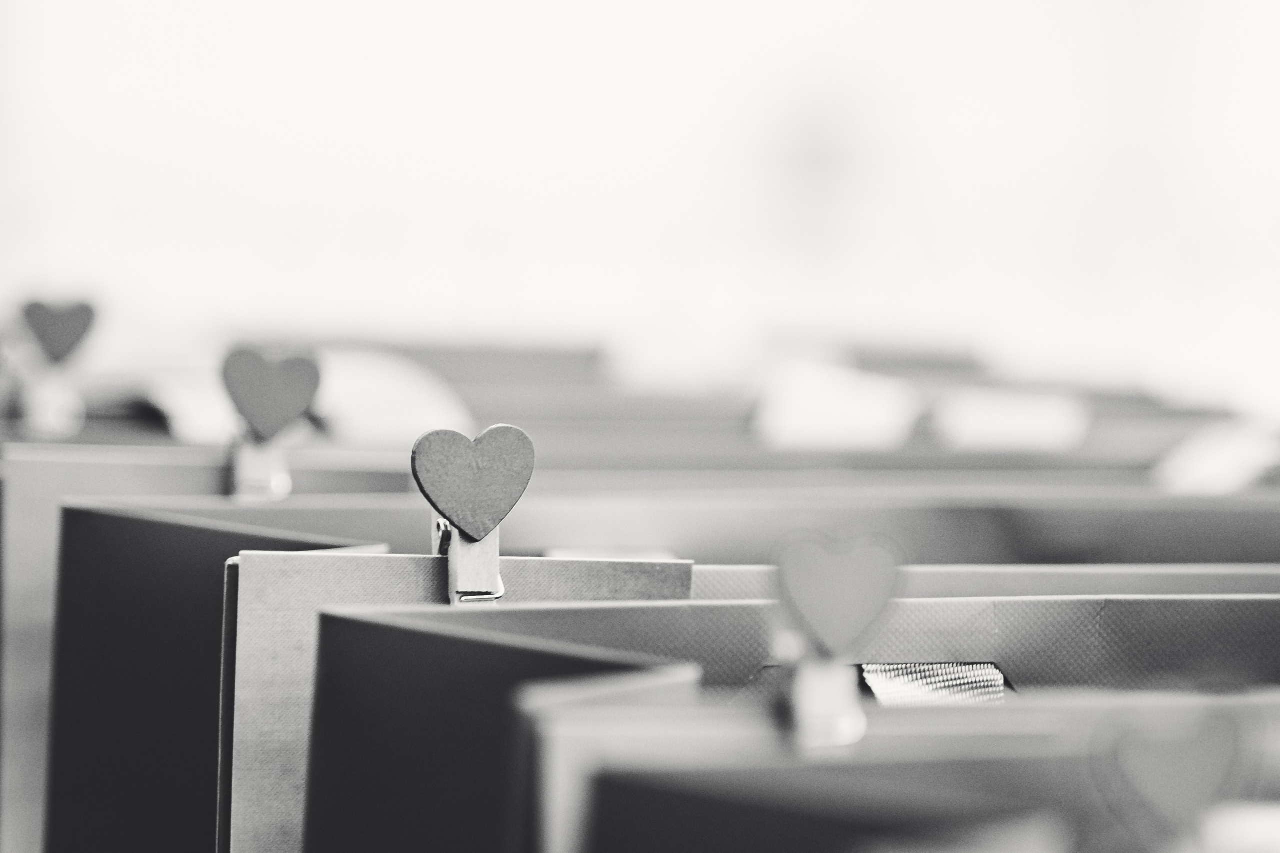 Чир Спорт. Фото