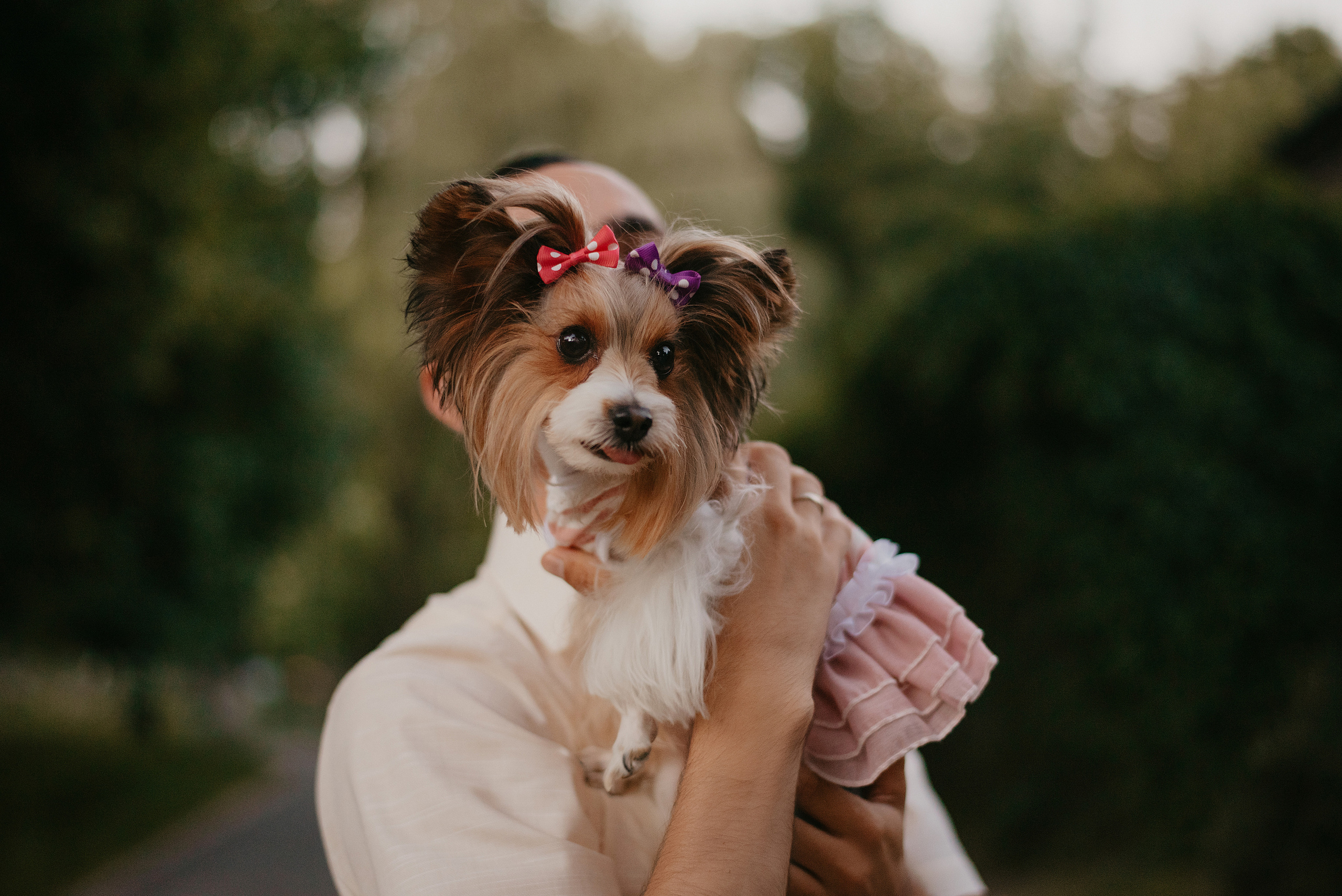 I+A. Свадебный фотограф Ростов-на-Дону от 4 400 руб. |Кристина Гайсенюк