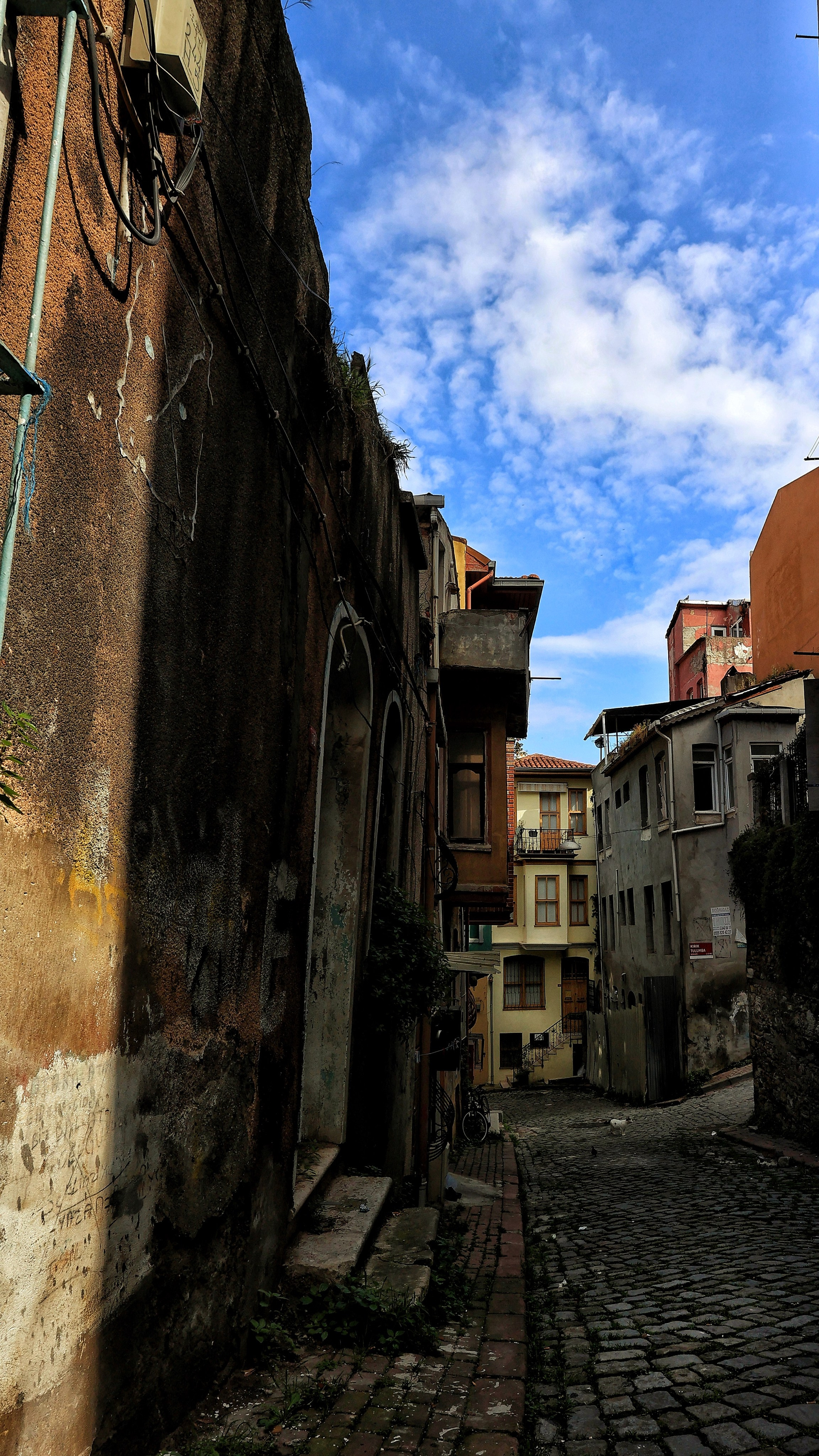 2025 год. Тащилин Сергей. Фотографии. Жизнь. Хобби