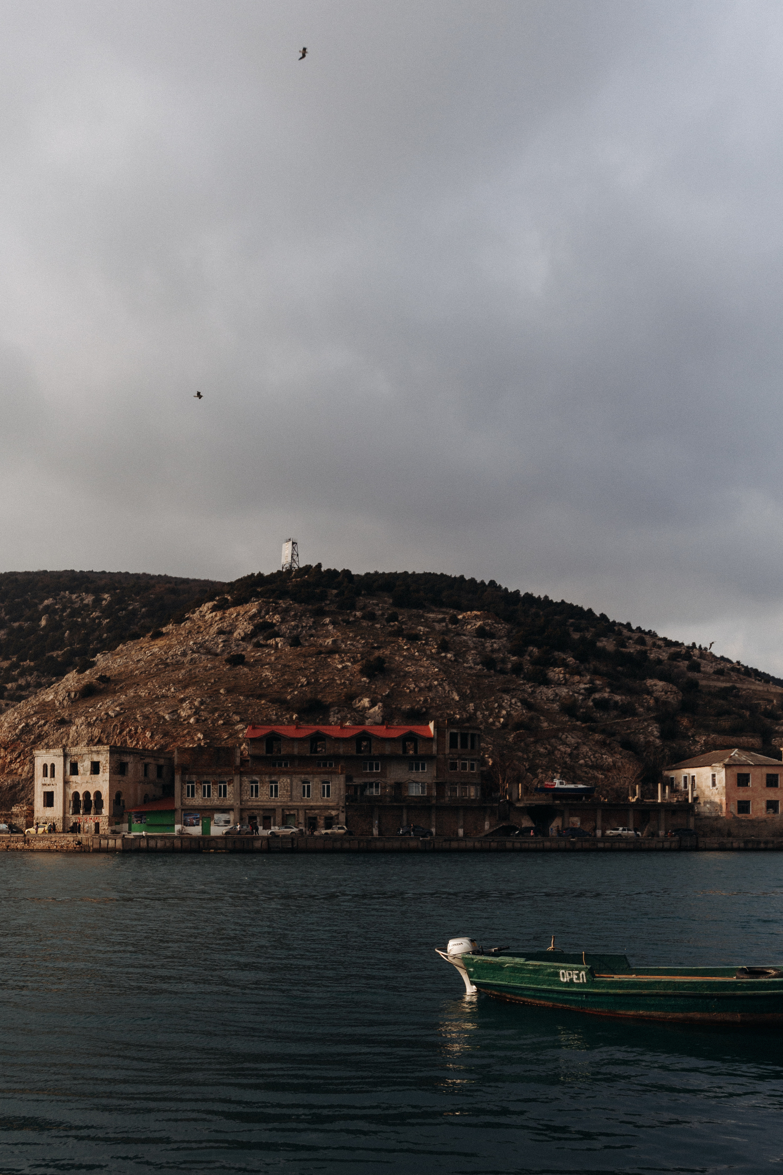 Winter in Crimea. Свадебный фотограф Алина Ампер