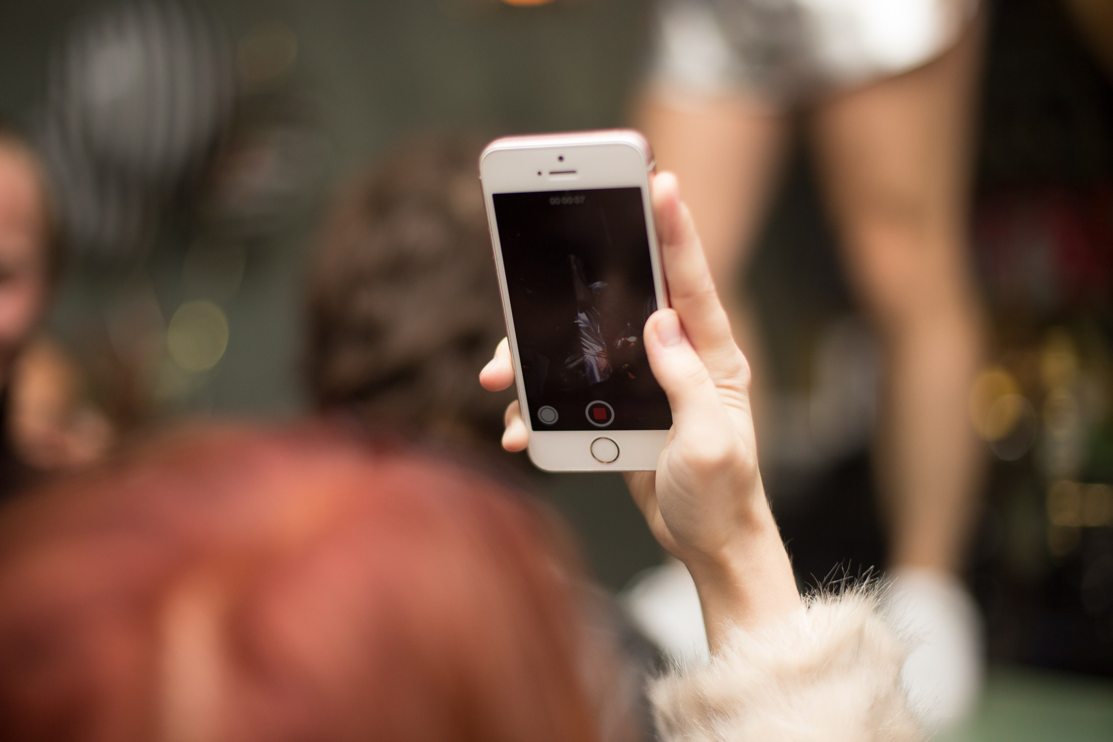 Пиф Паф 5 лет (осень 2018). Фотограф Анастасия Малеева