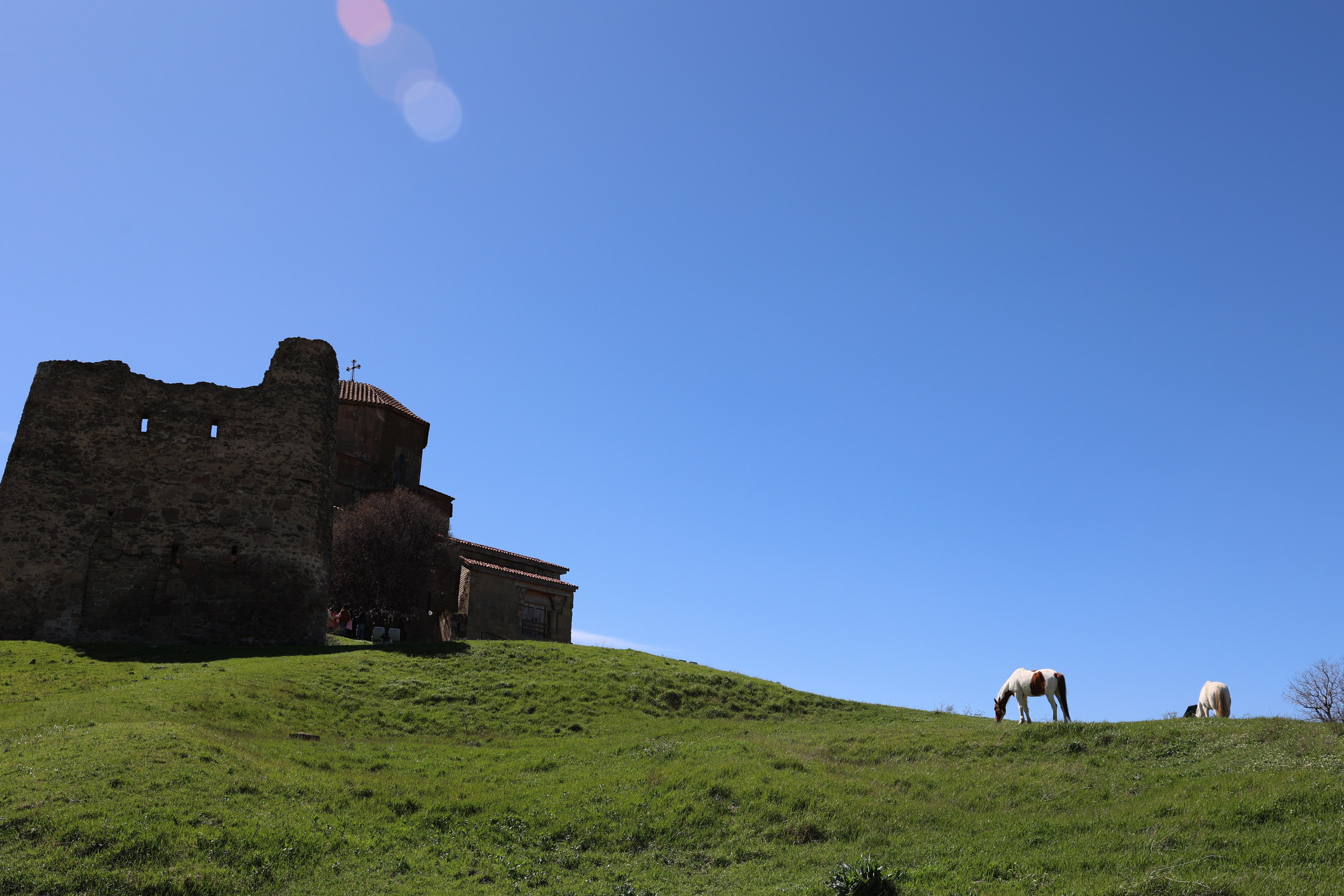 Любимое. Фотограф в Санкт-Петербурге Анна Сосновская