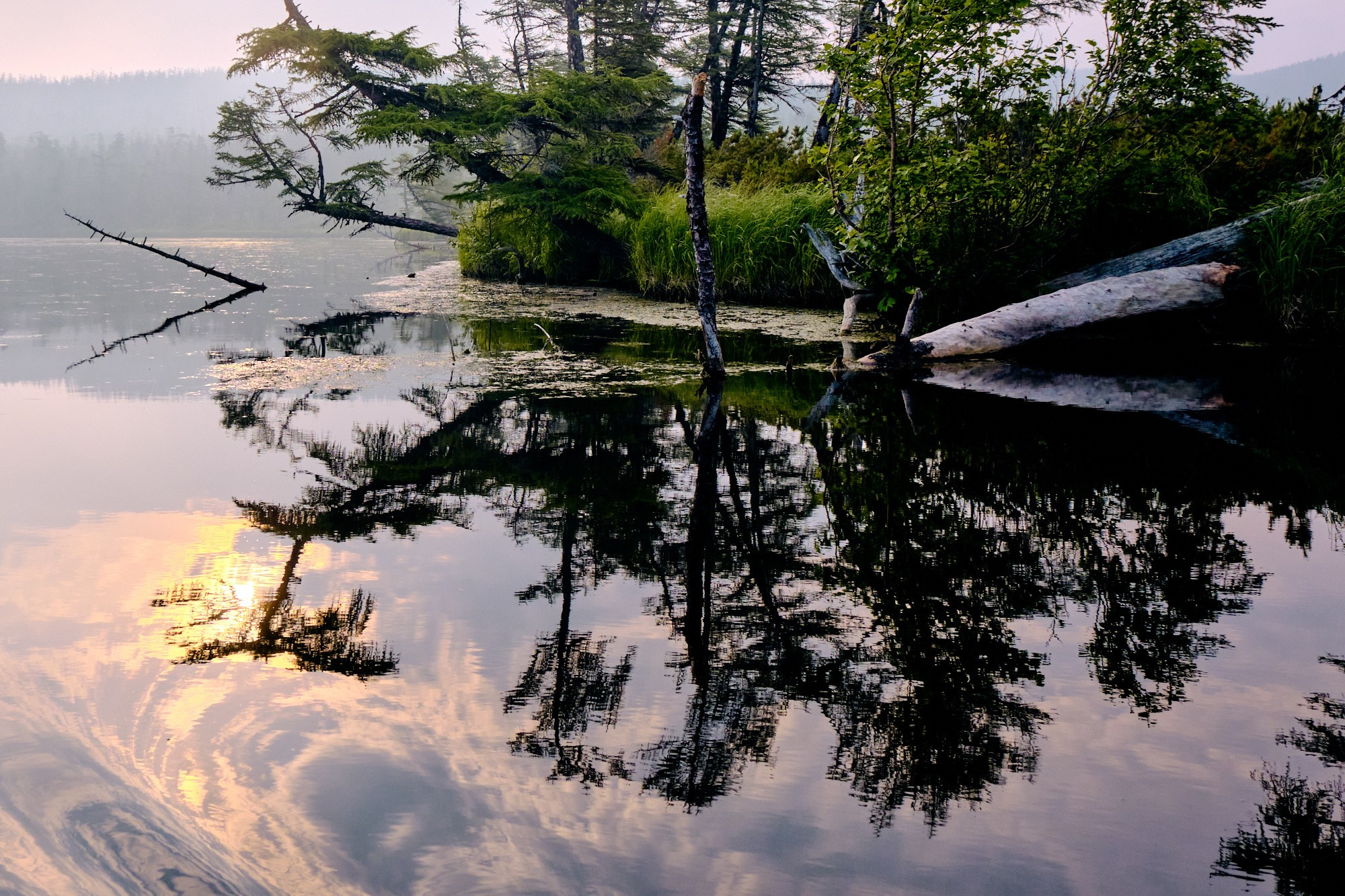 AQUATICS. Из Хабаровска до Шантарских островов. Юрий Березнюк. Фотожурналистика