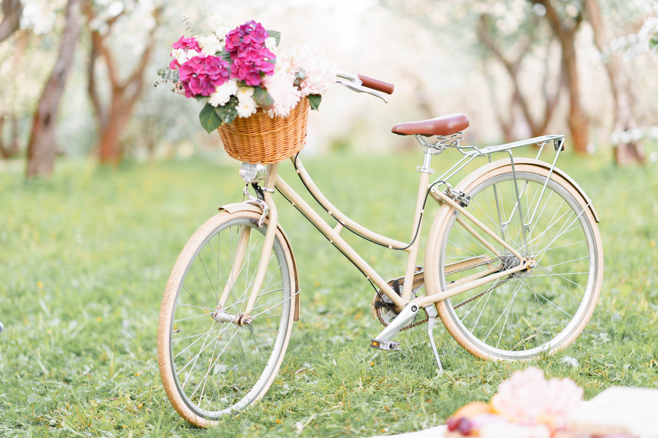 Даня и Алена