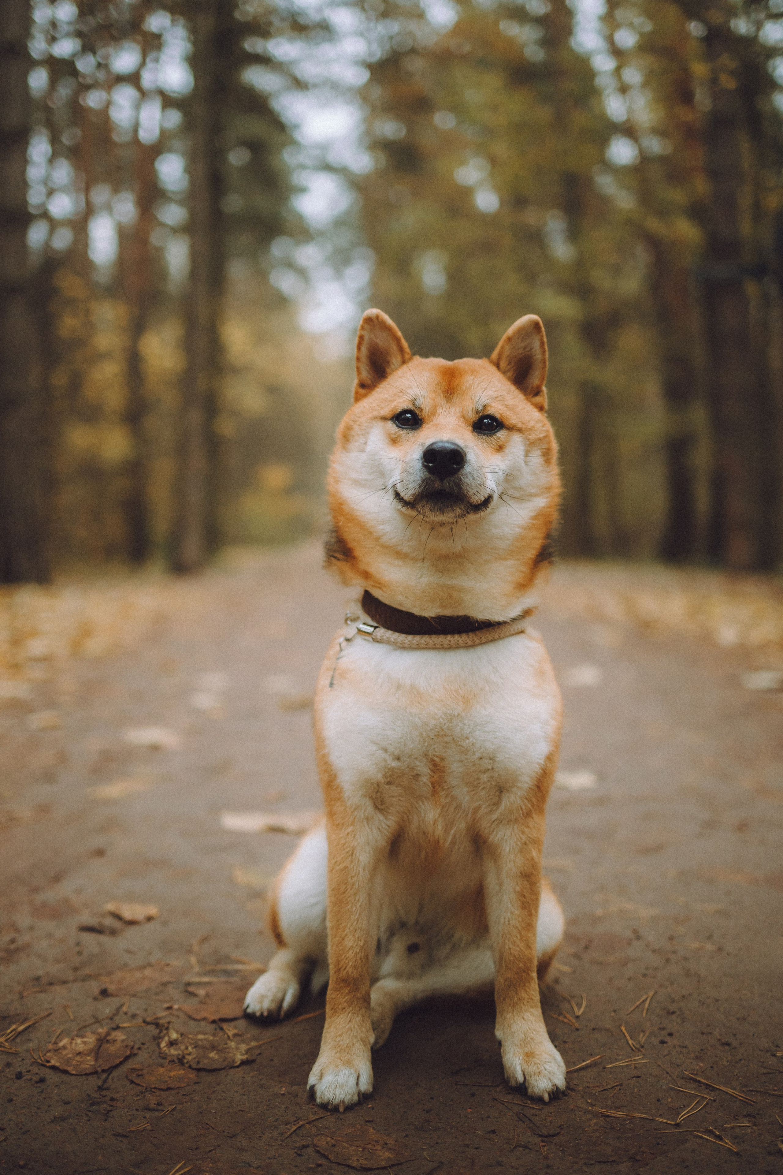 Настя, Юра и Скай