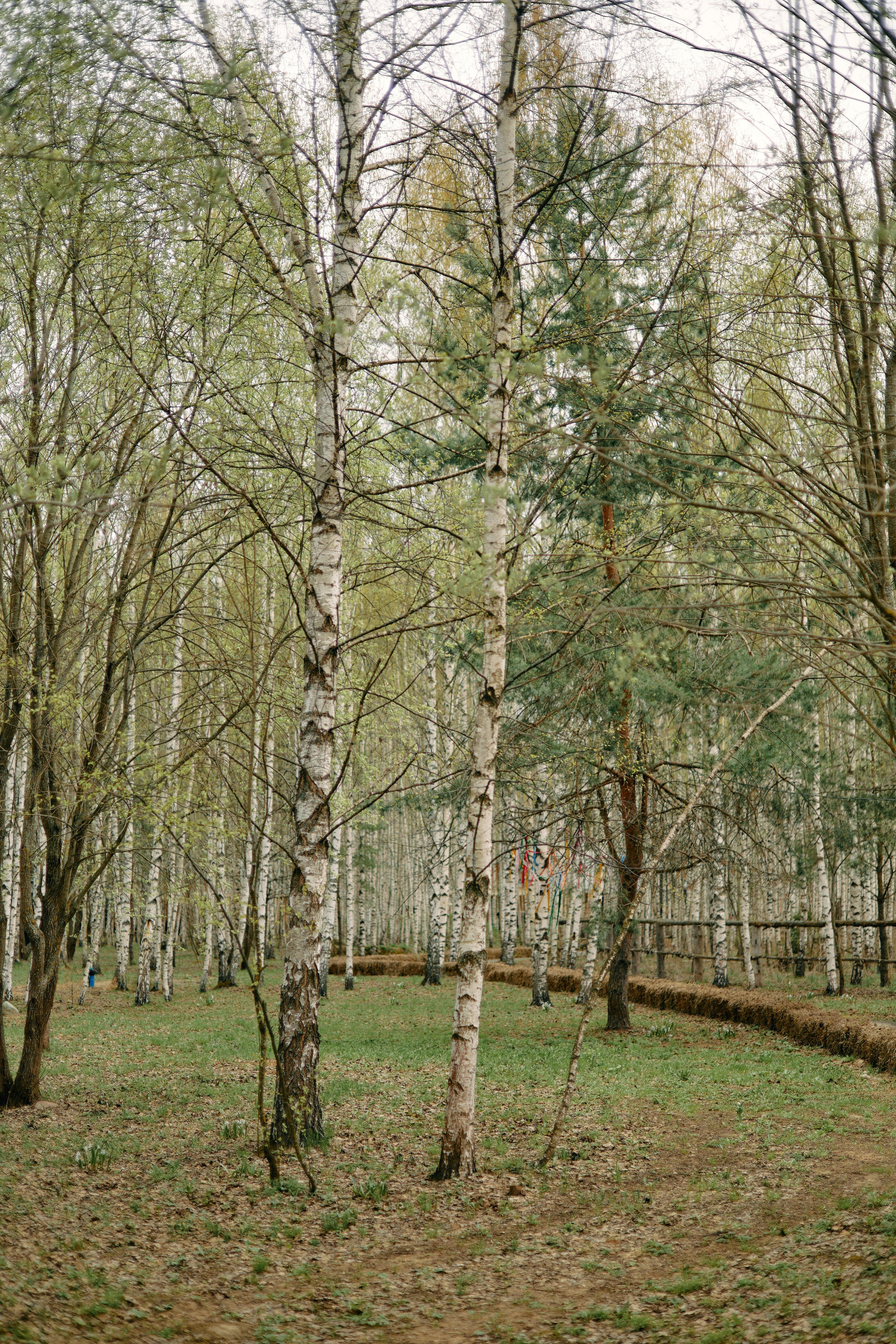 Бутик-отель Поле летом. Профессиональный Фотограф во Владимире, в Москве и в Суздале — Полина Романычева