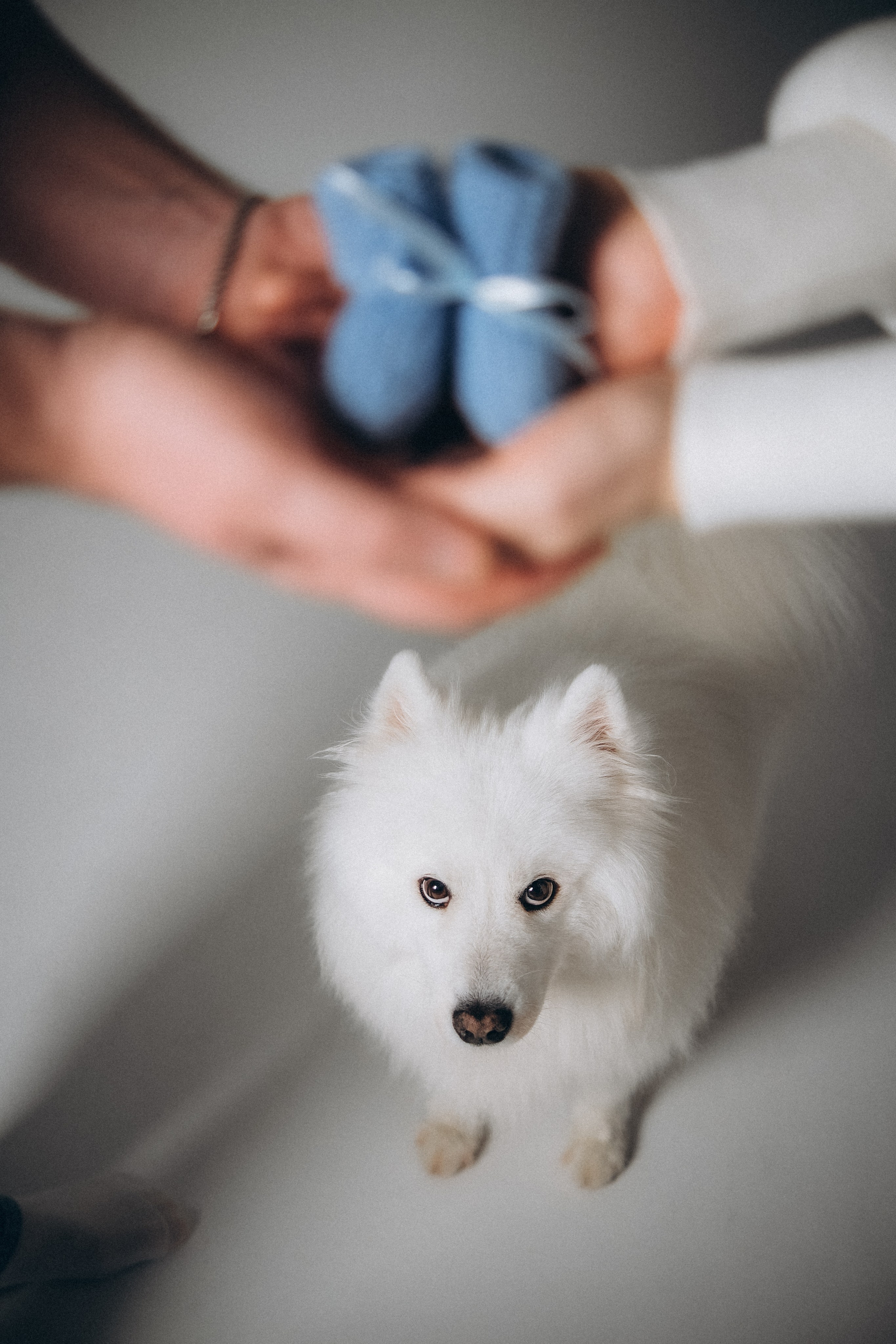 Катя & Андрей. Phdkvmr.ru