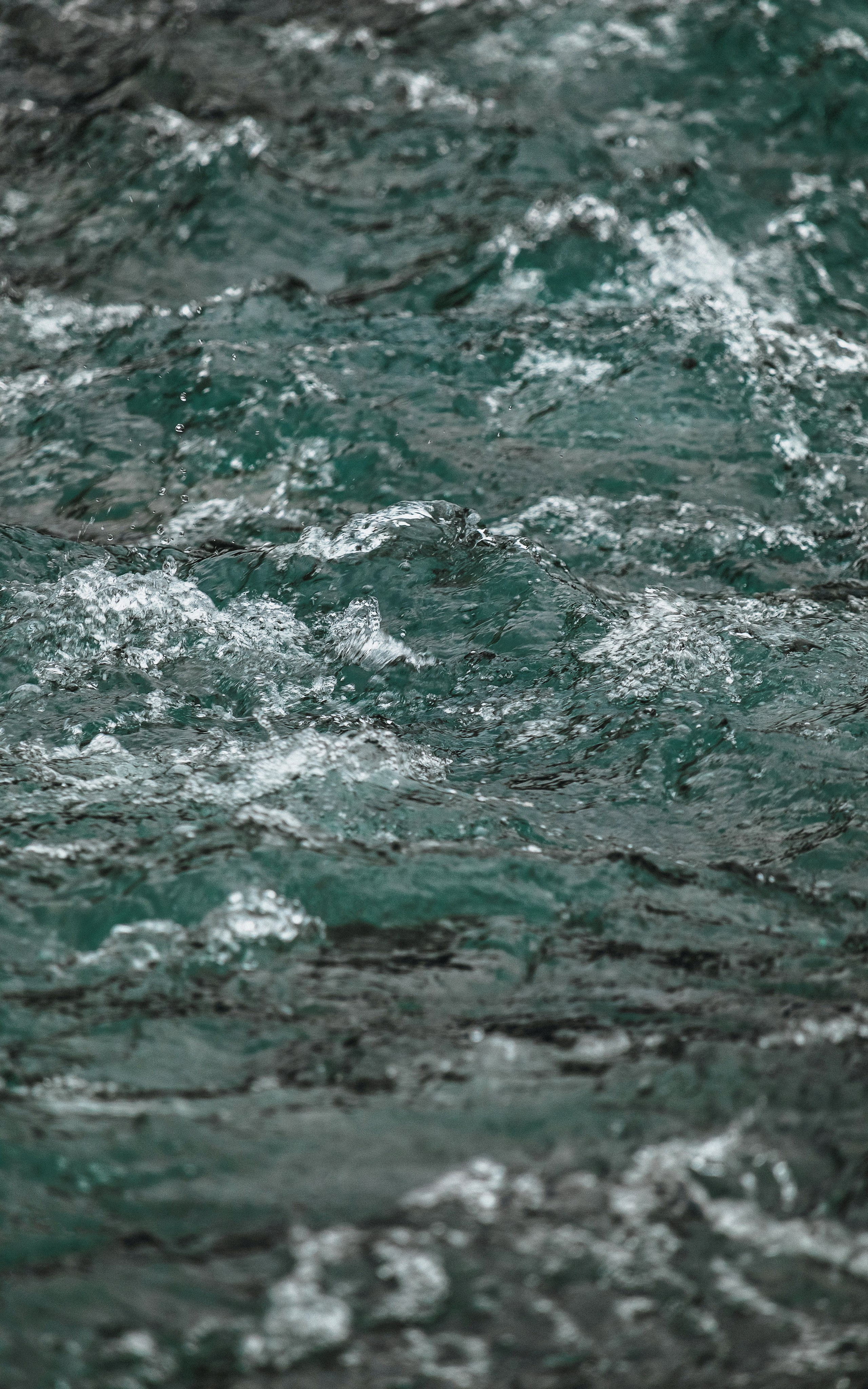 Жизнь. Фотограф Алматы | Весь мир — Никита Колодин