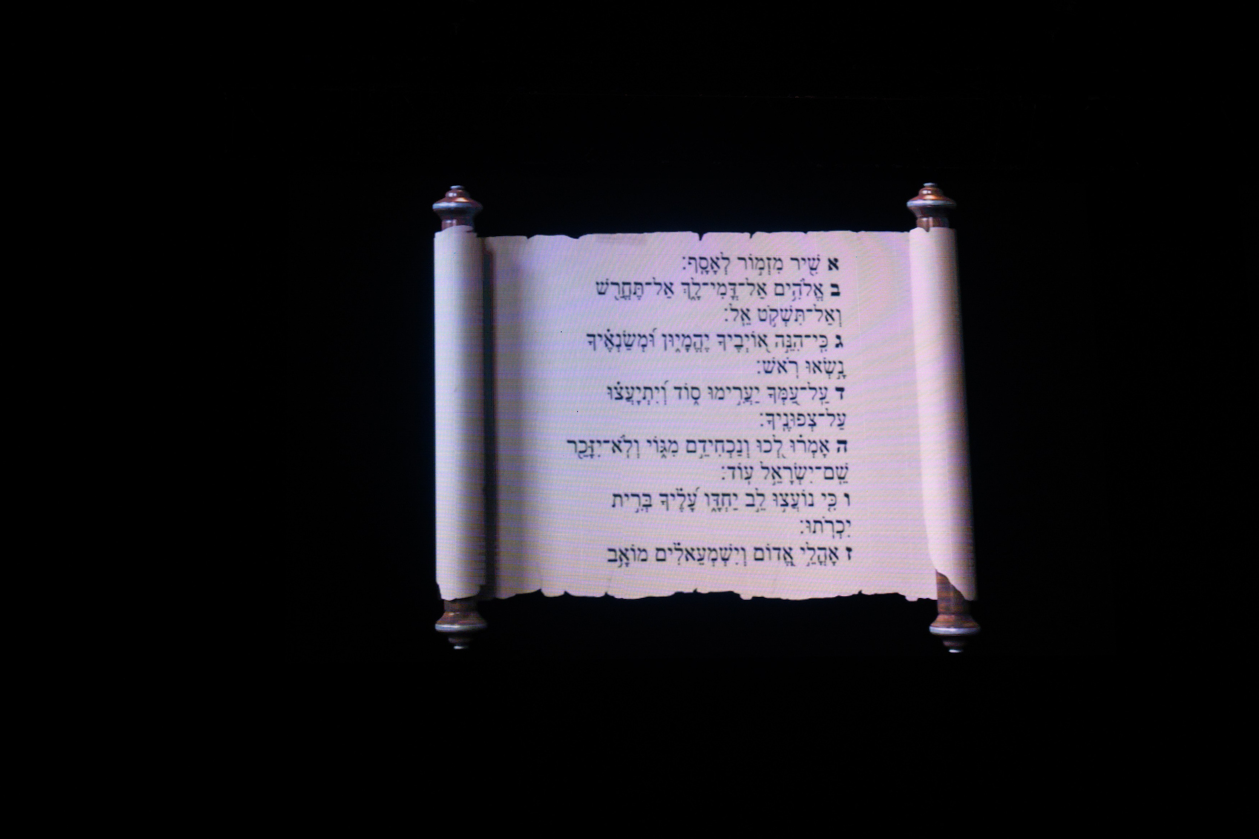 Первый Еврейский Женский Конгресс. Свадебный, портретный фотограф Москва