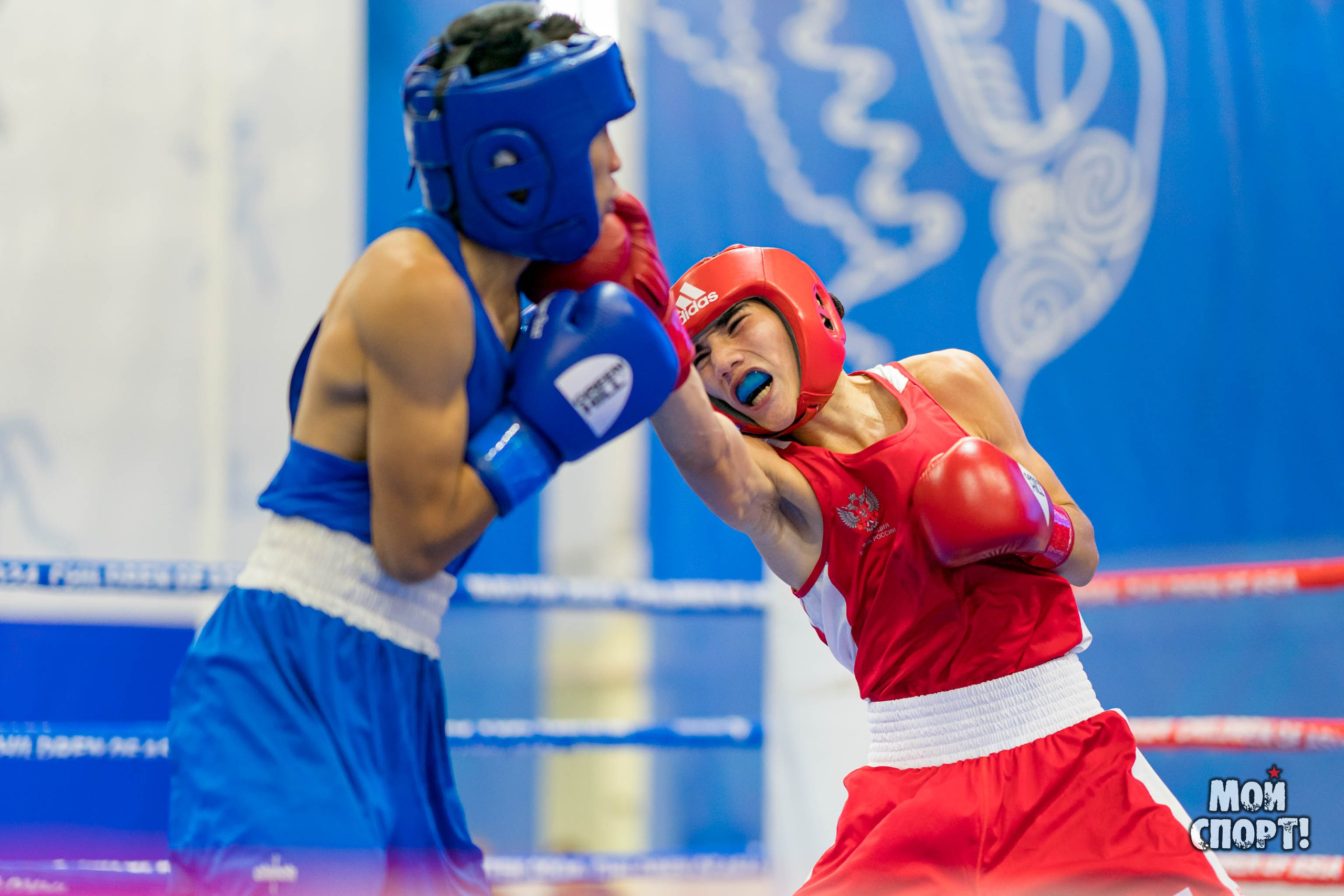 Международные соревнования по боксу памяти А. И. Пахомова. Студия «Мой Спорт!» — все о спорте в Якутии