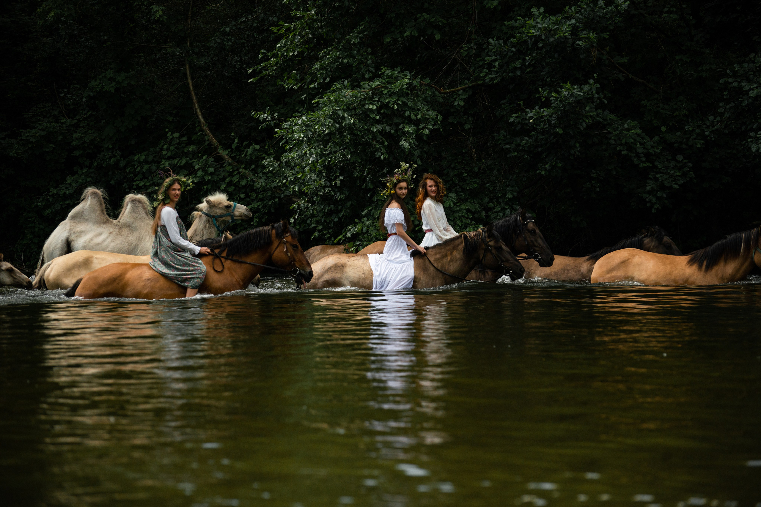 Купала в Родославном. Конный фотограф в Саратове Юлия Иванова