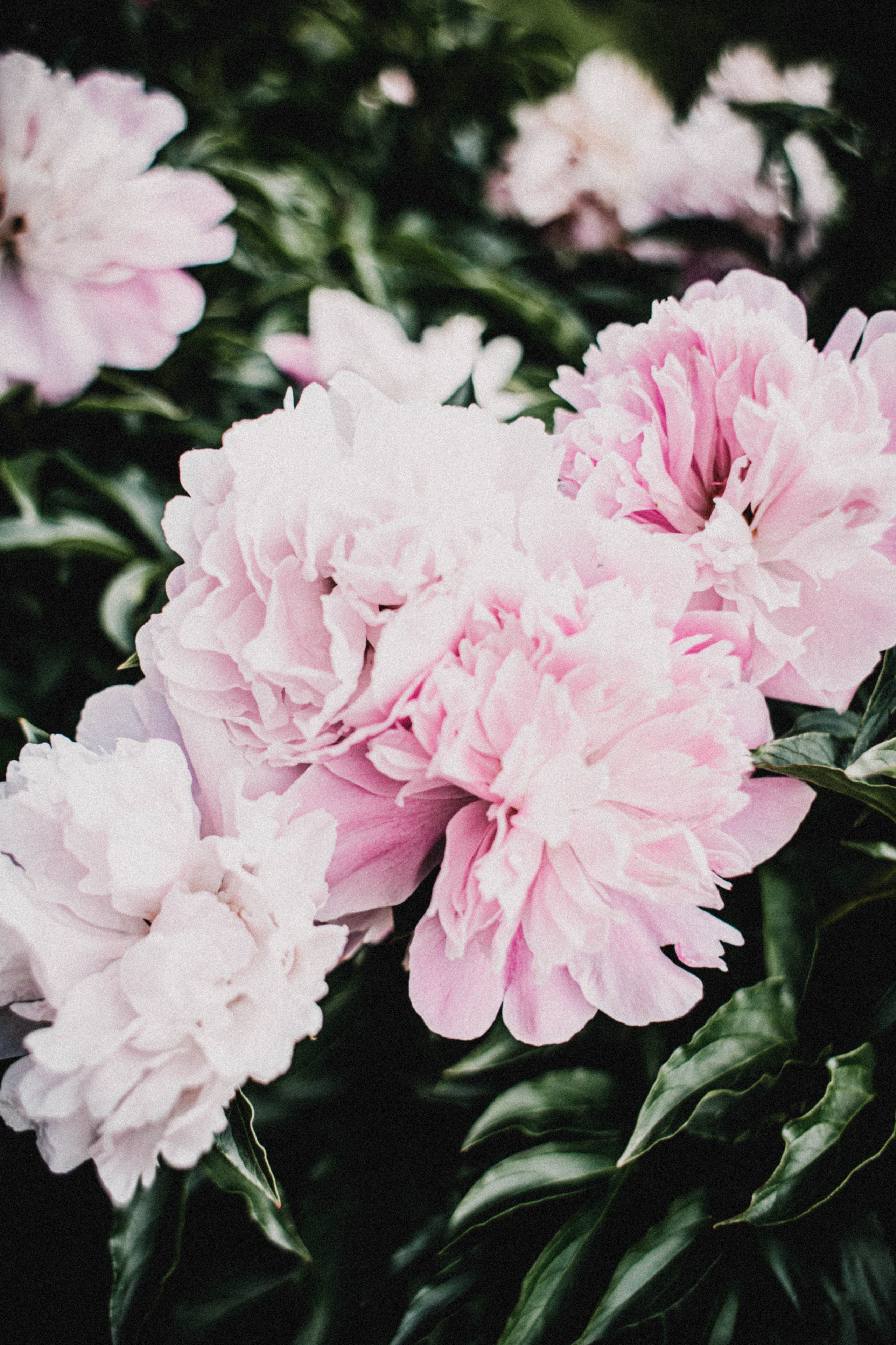 Настя прогулка НН. Фотограф в Нижнем Новгороде