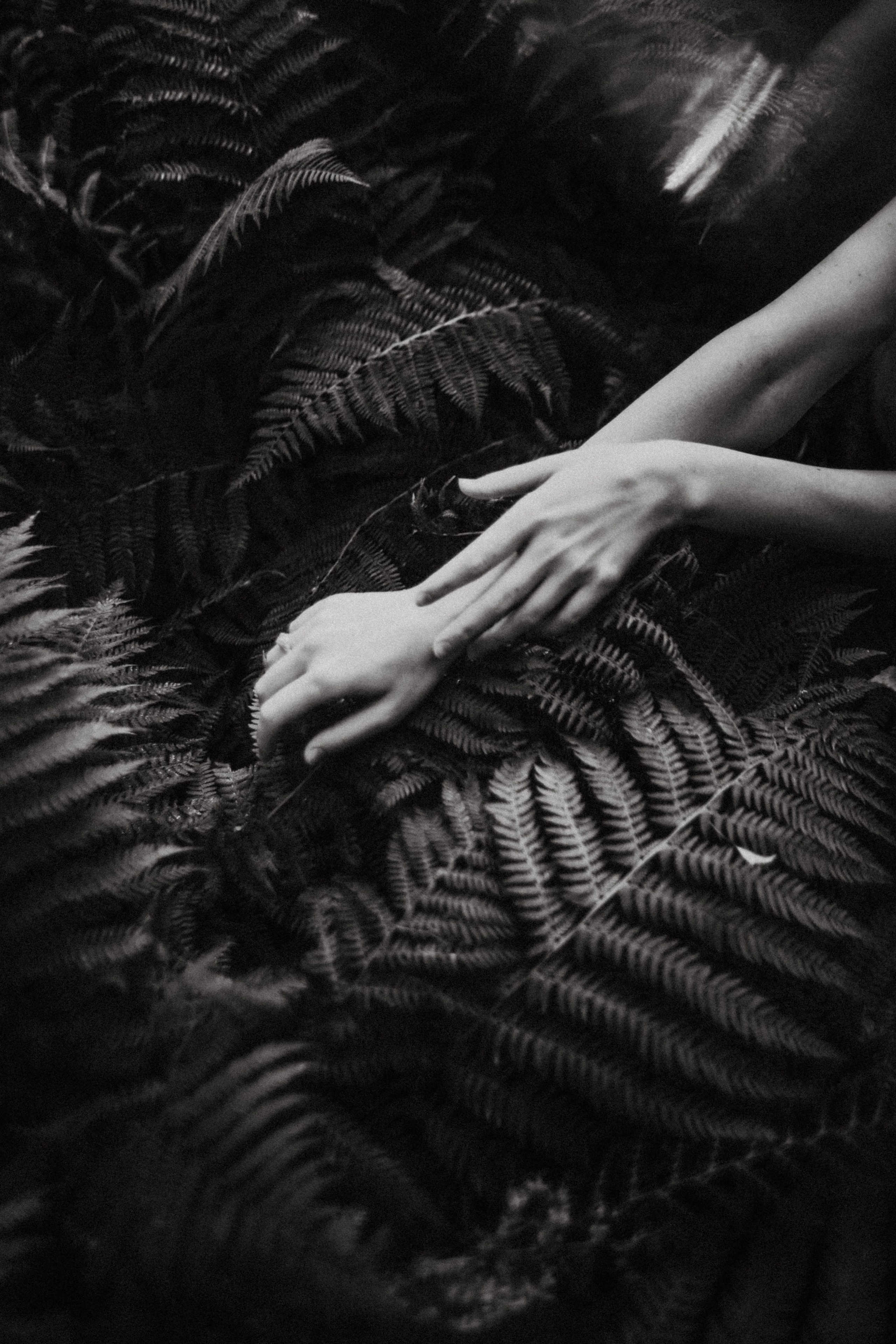 Ирина. Папоротник. Фотограф в Нижнем Новгороде