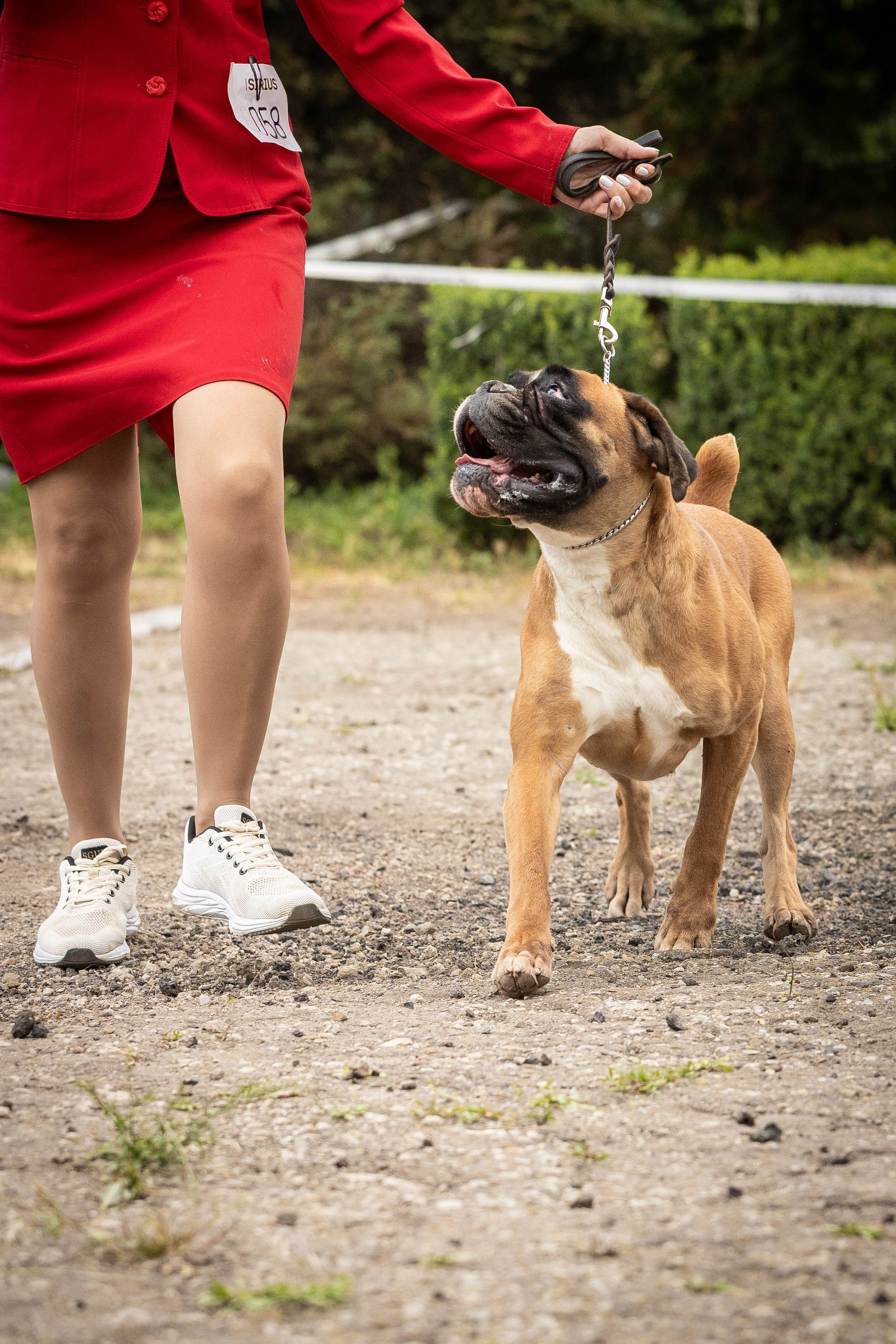 Репортаж (фото с выставок). Фотограф-АниМалист Анна Абрамова