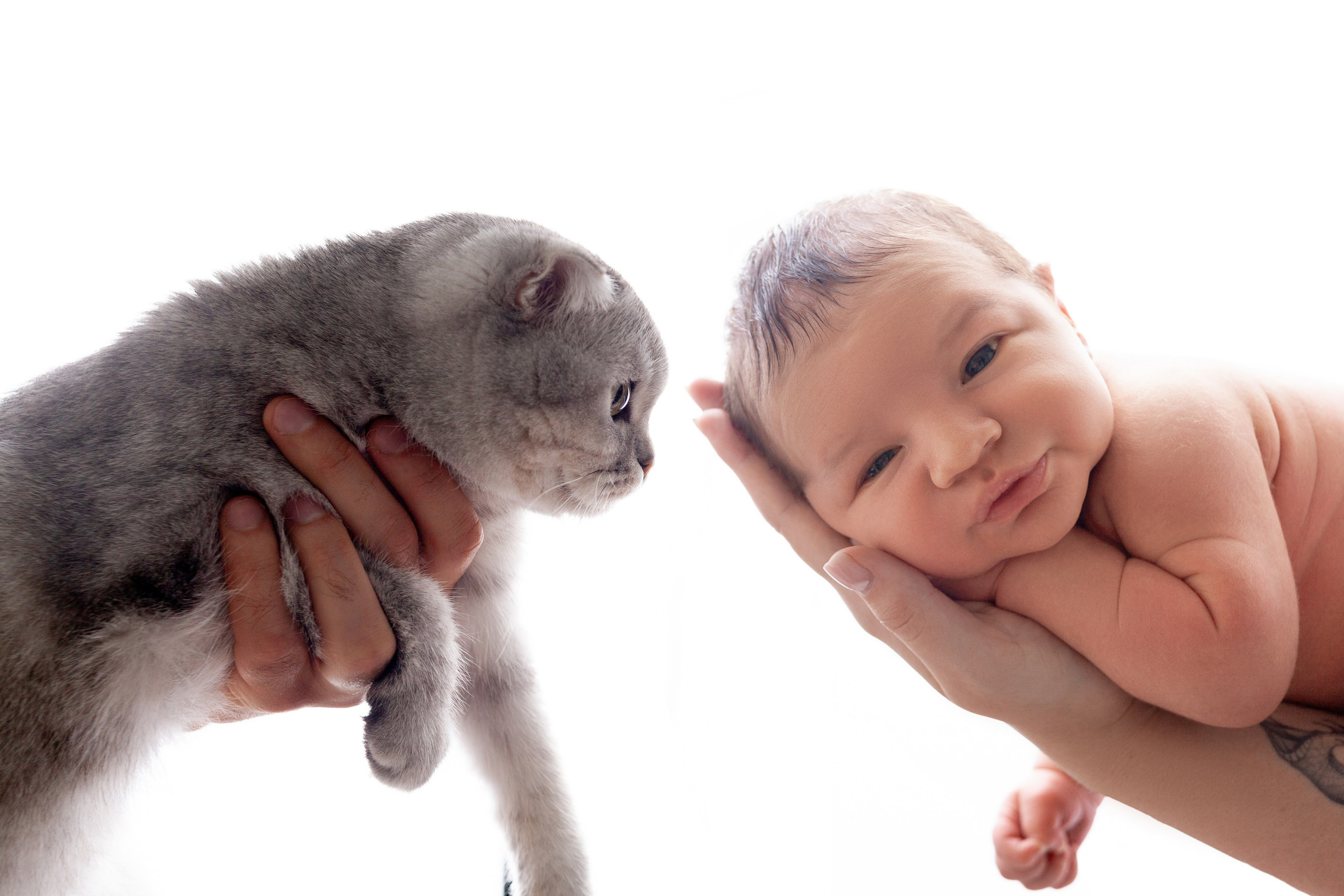 Мальчики. Фотограф новорожденных г. Подольск, г. Жуковский, весь юг Москвы и Моск.обл