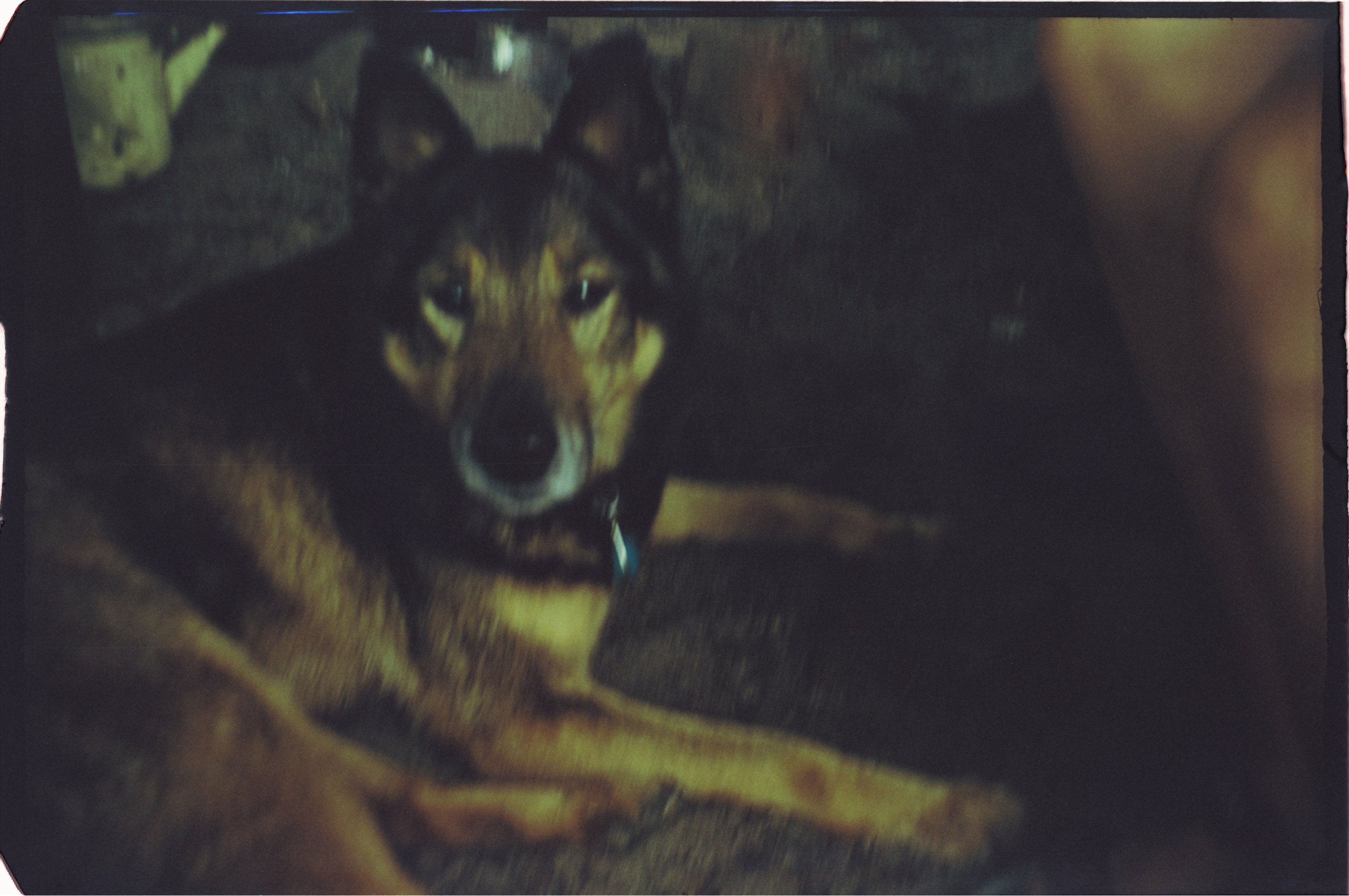 И вокруг меня. Портретный и концертный фотограф в Санкт-Петербурге Егор Телятников