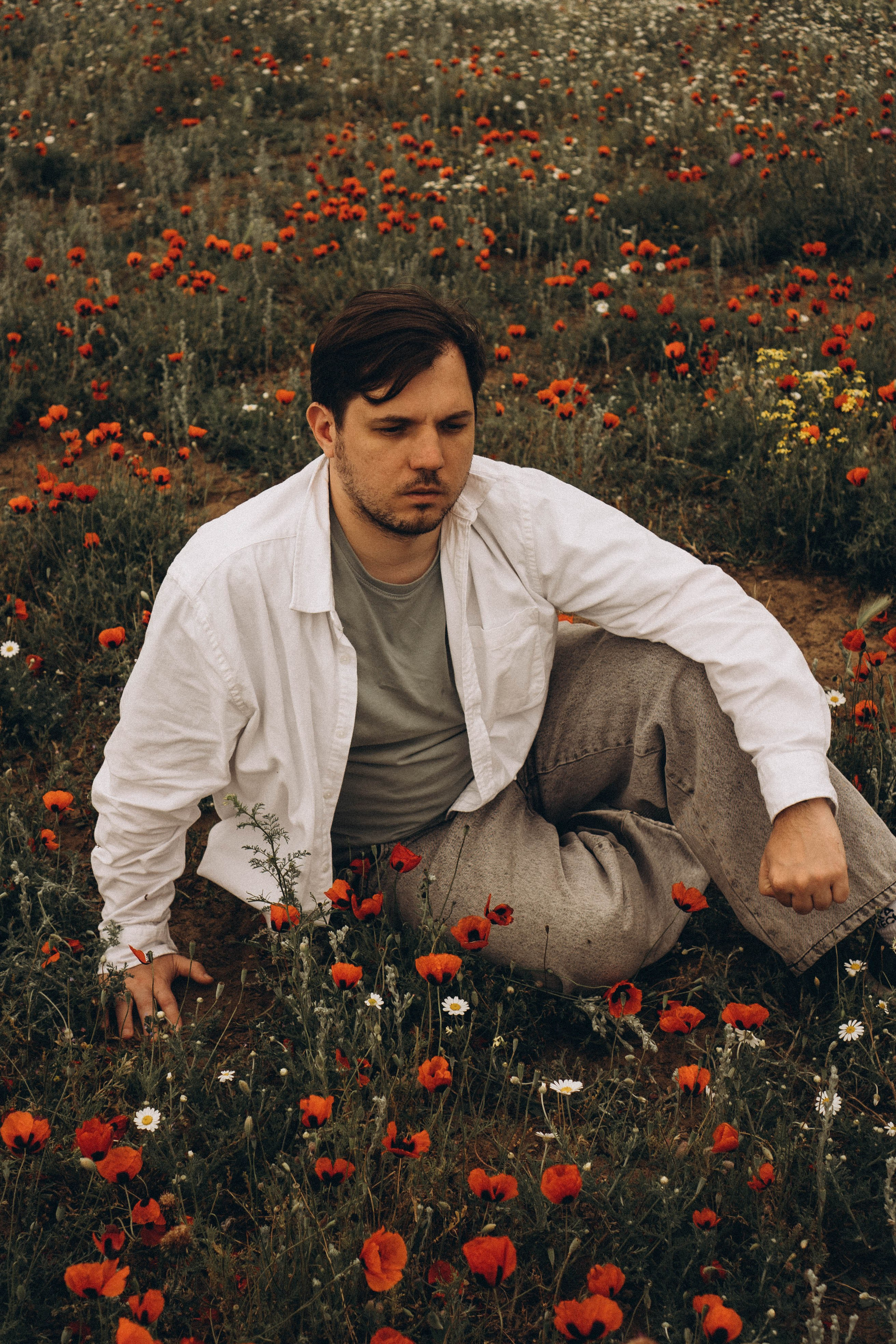 Маки. Профессиональный фотограф, Санкт-Петербург — Виктория Богомолова