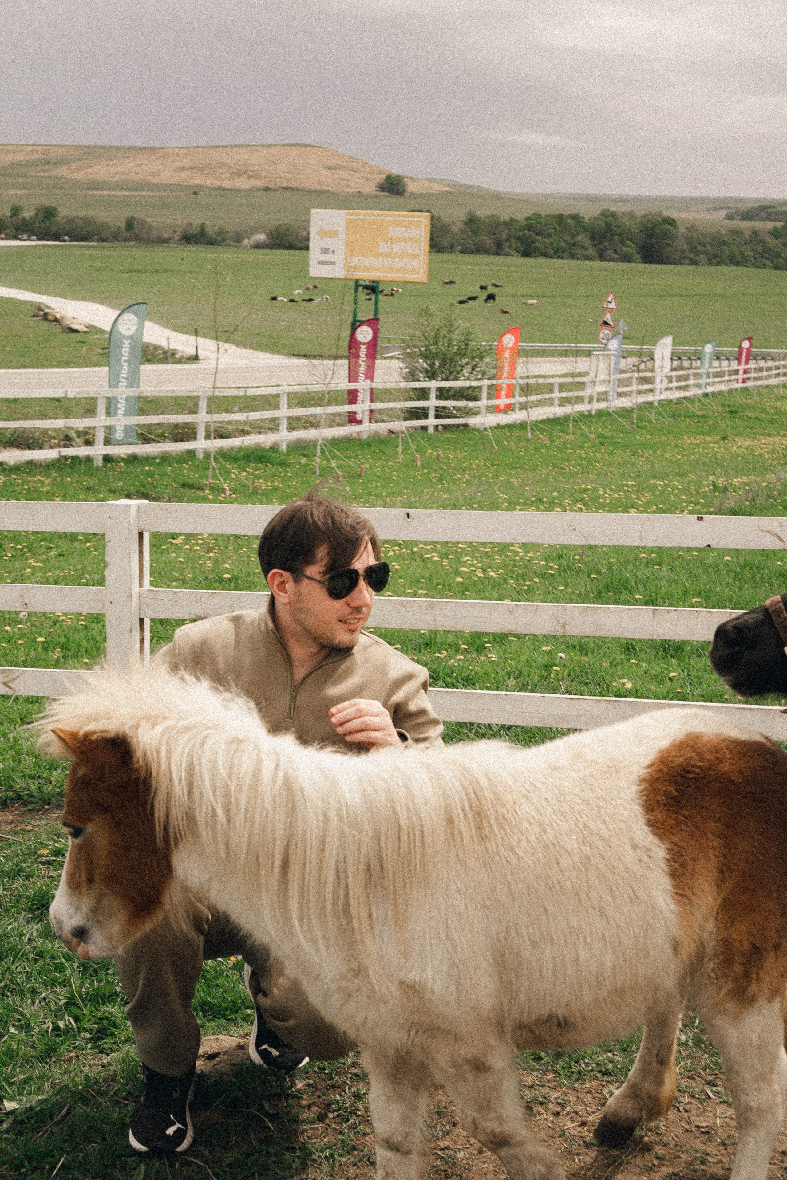 Ферма Альпак. Профессиональный фотограф, Санкт-Петербург — Виктория Богомолова
