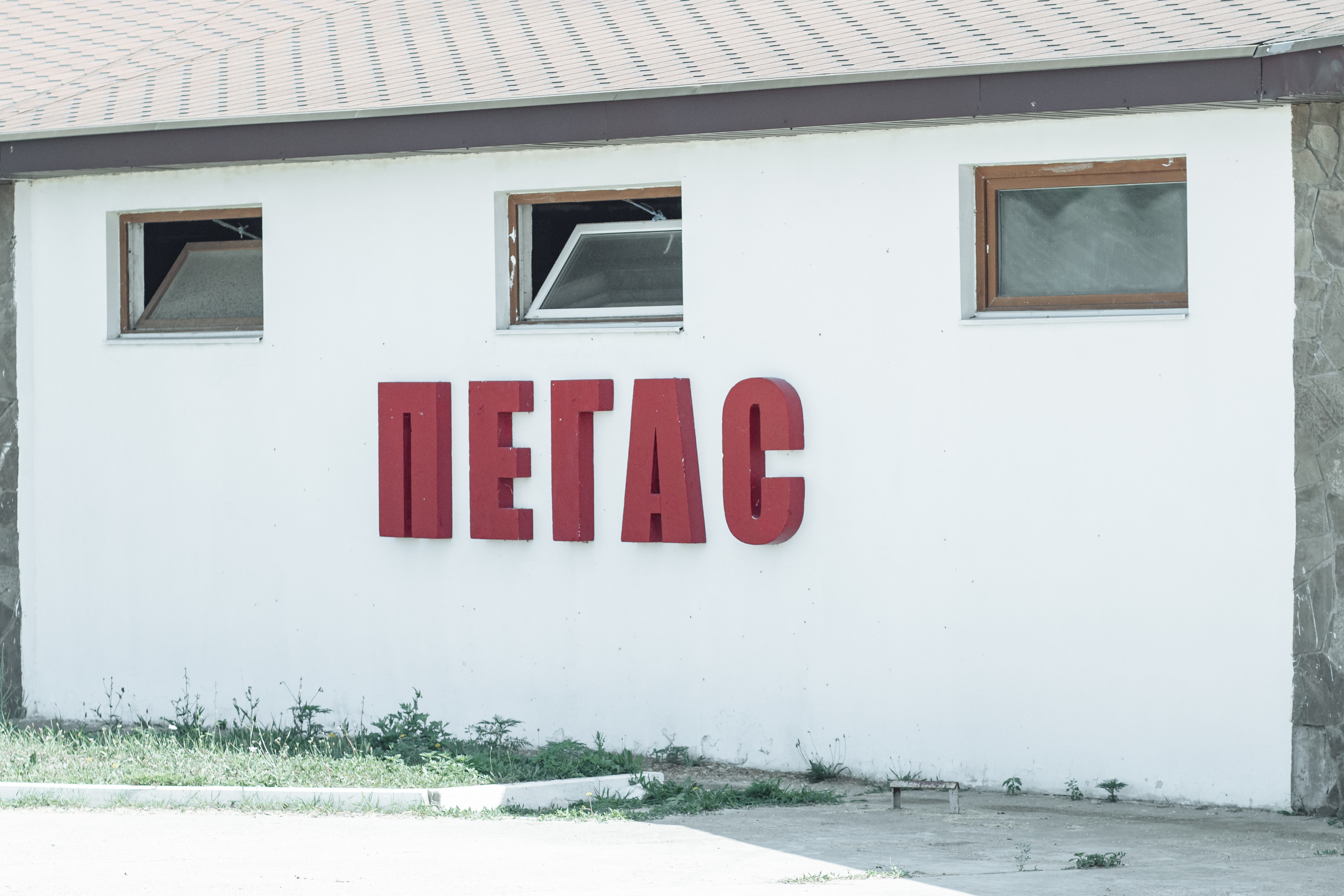 Чемпионат и Первенство по паралимпийскому и специальному конному спорту. Фотограф|видеограф Мария Плетнëва