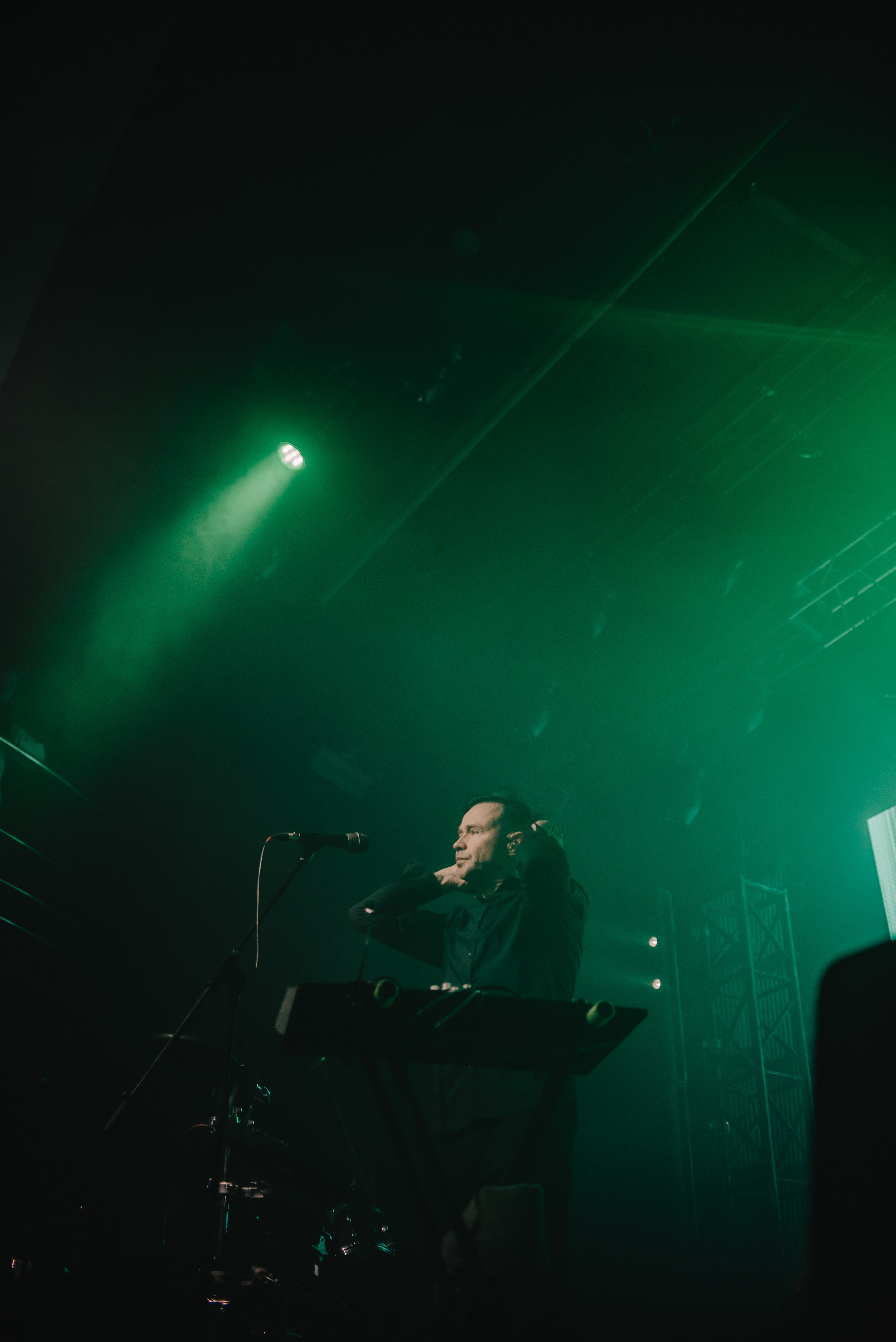 Дельфин | Gaudi. Контент фотограф Илья Урс