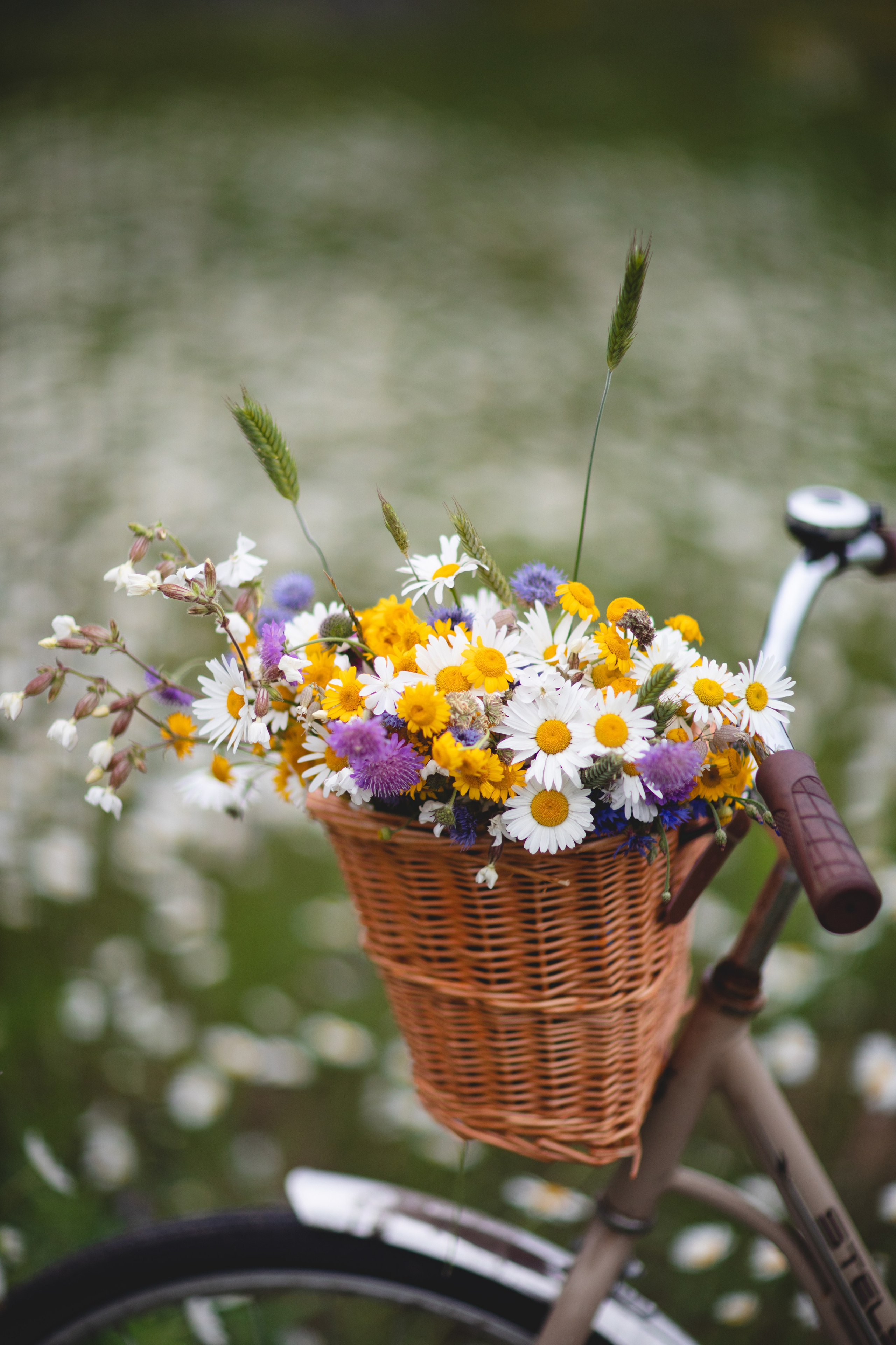 Фототуур «Край озёр» Лето. Семейный фотограф в Москве Анастасия Гурьянова