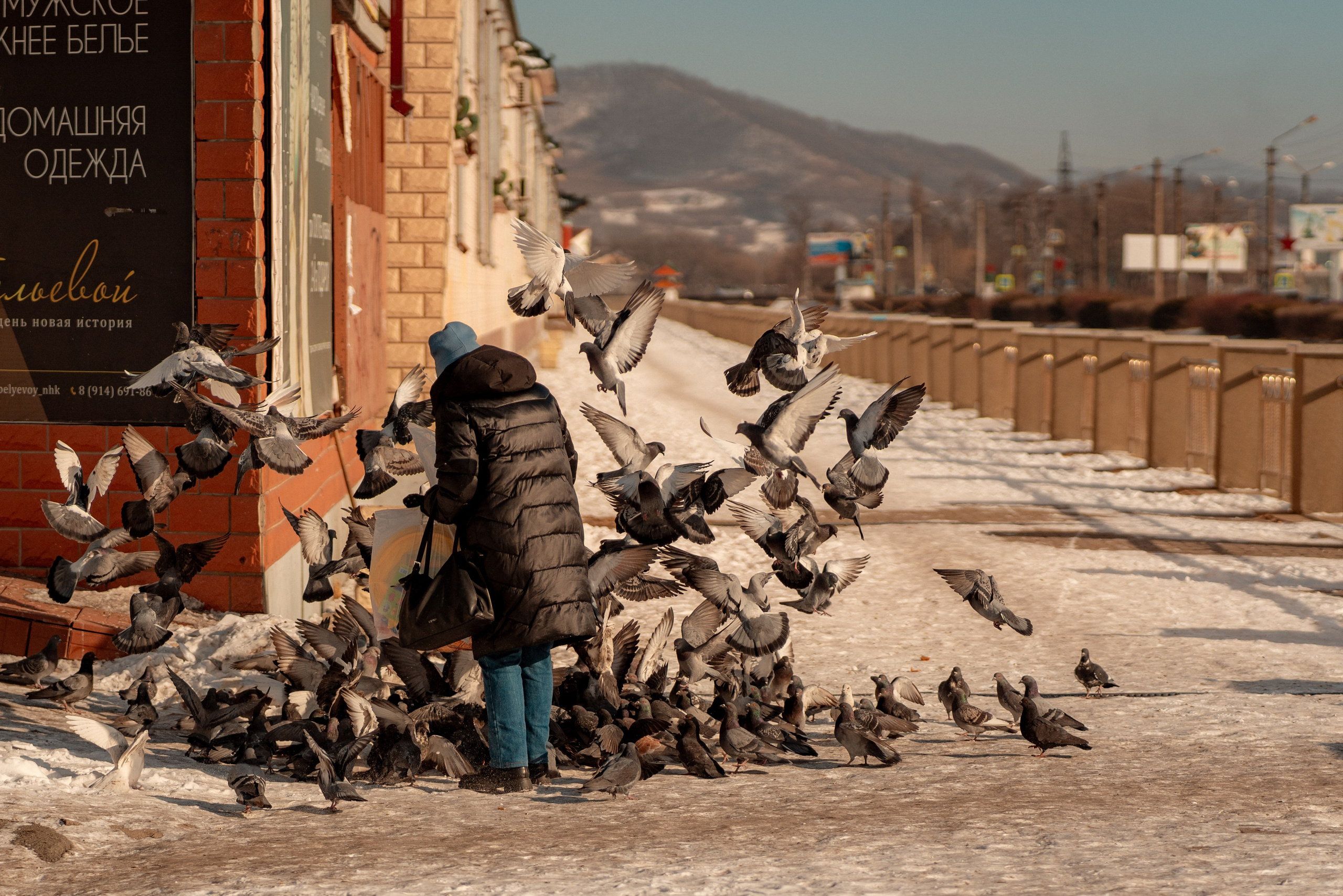 Находка, Декабрь 2023