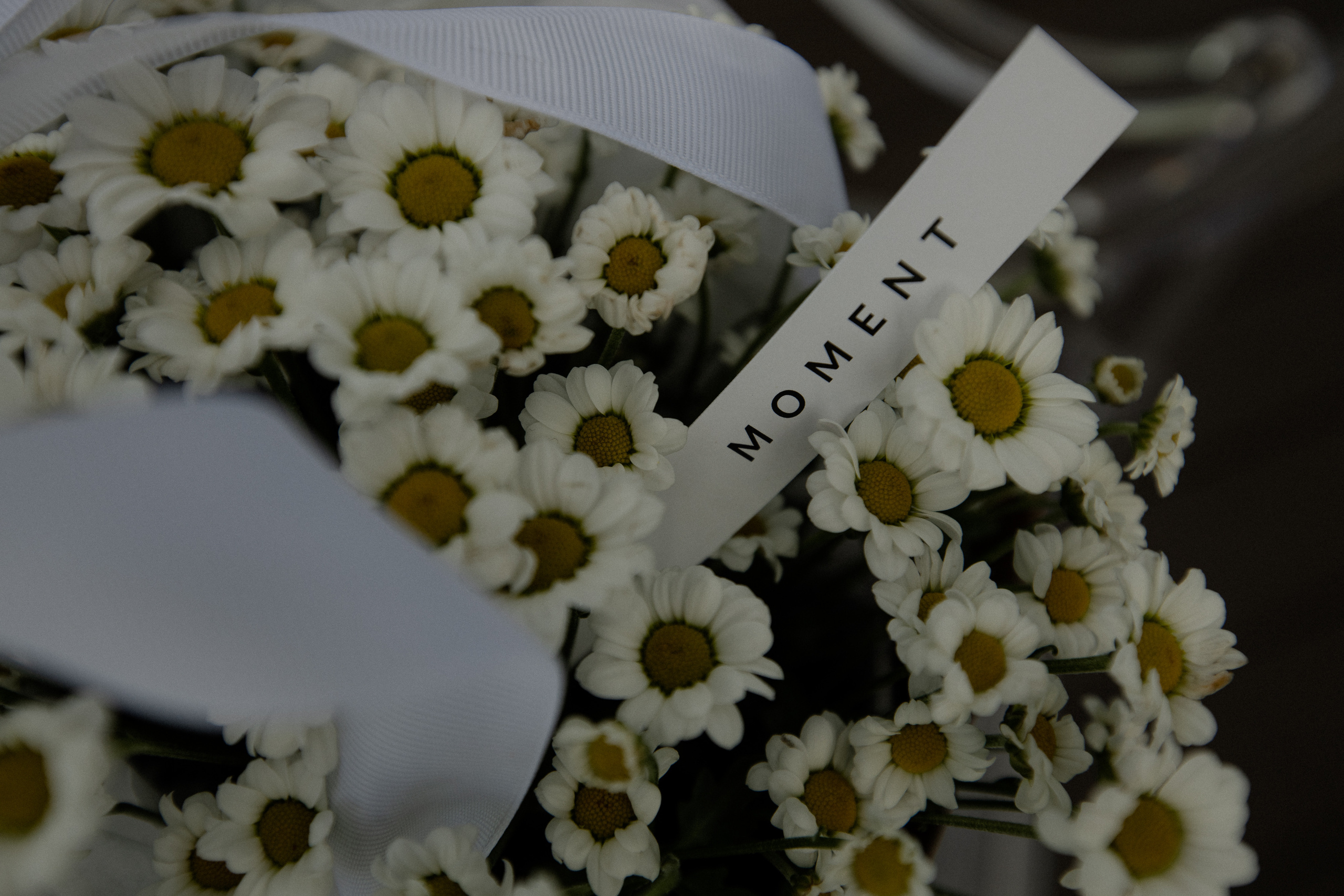 A|K. Свадебный фотограф Таня Караисаева