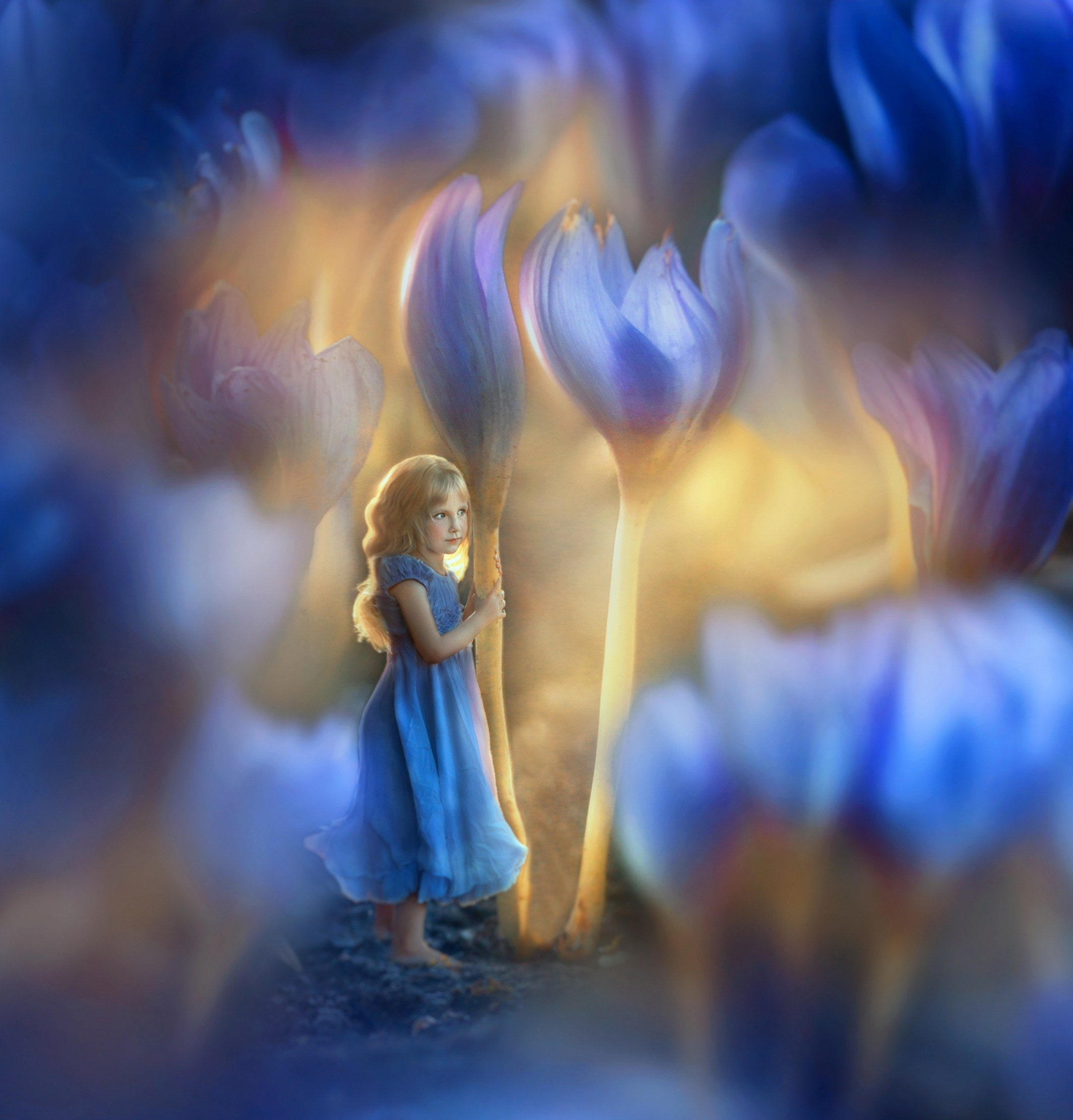 Портфолио. Фотохудожник в Санкт-Петербурге Ольга Клипина