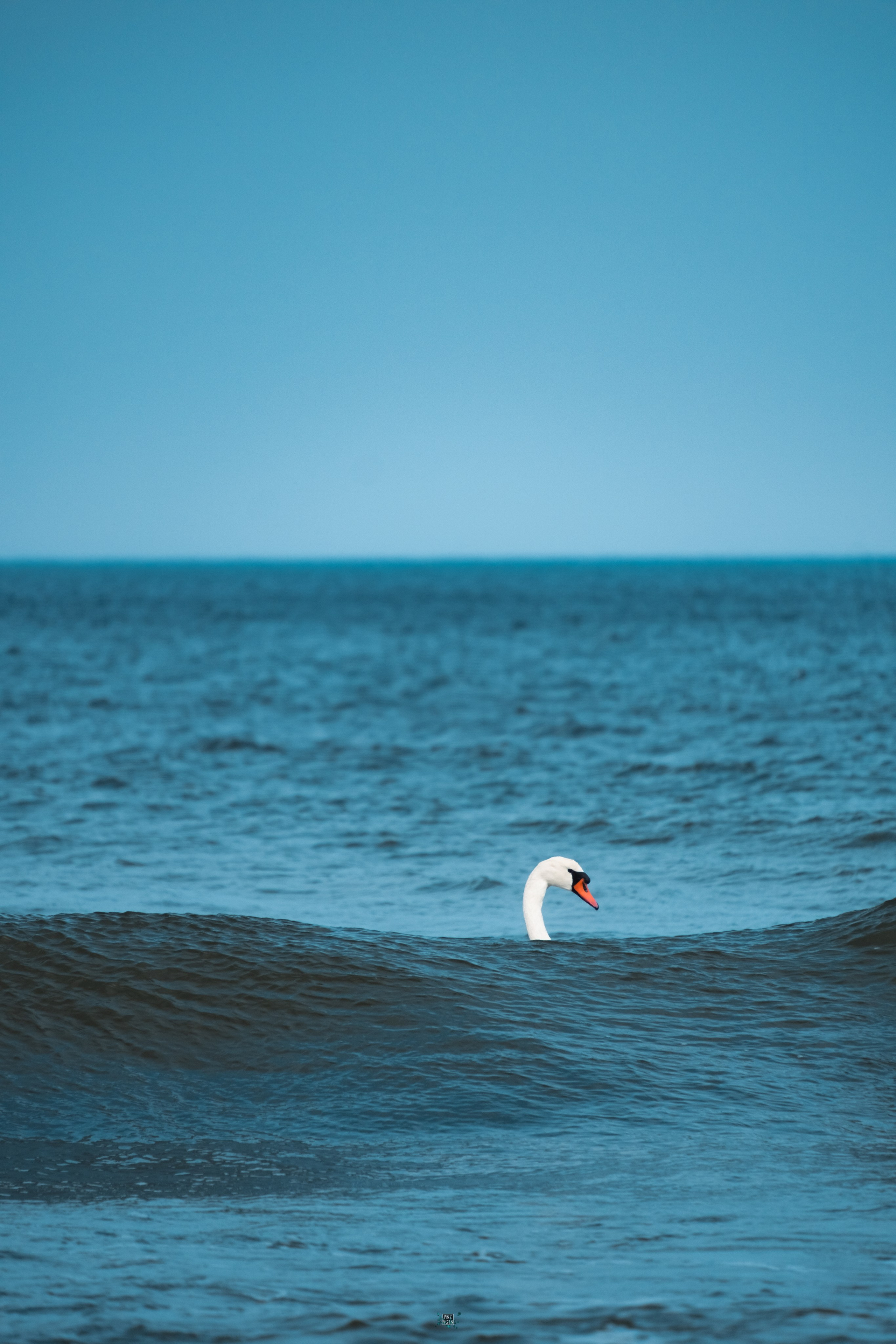 Koenigsberg. M. Neizvestniy — уличная и спортивная фотография