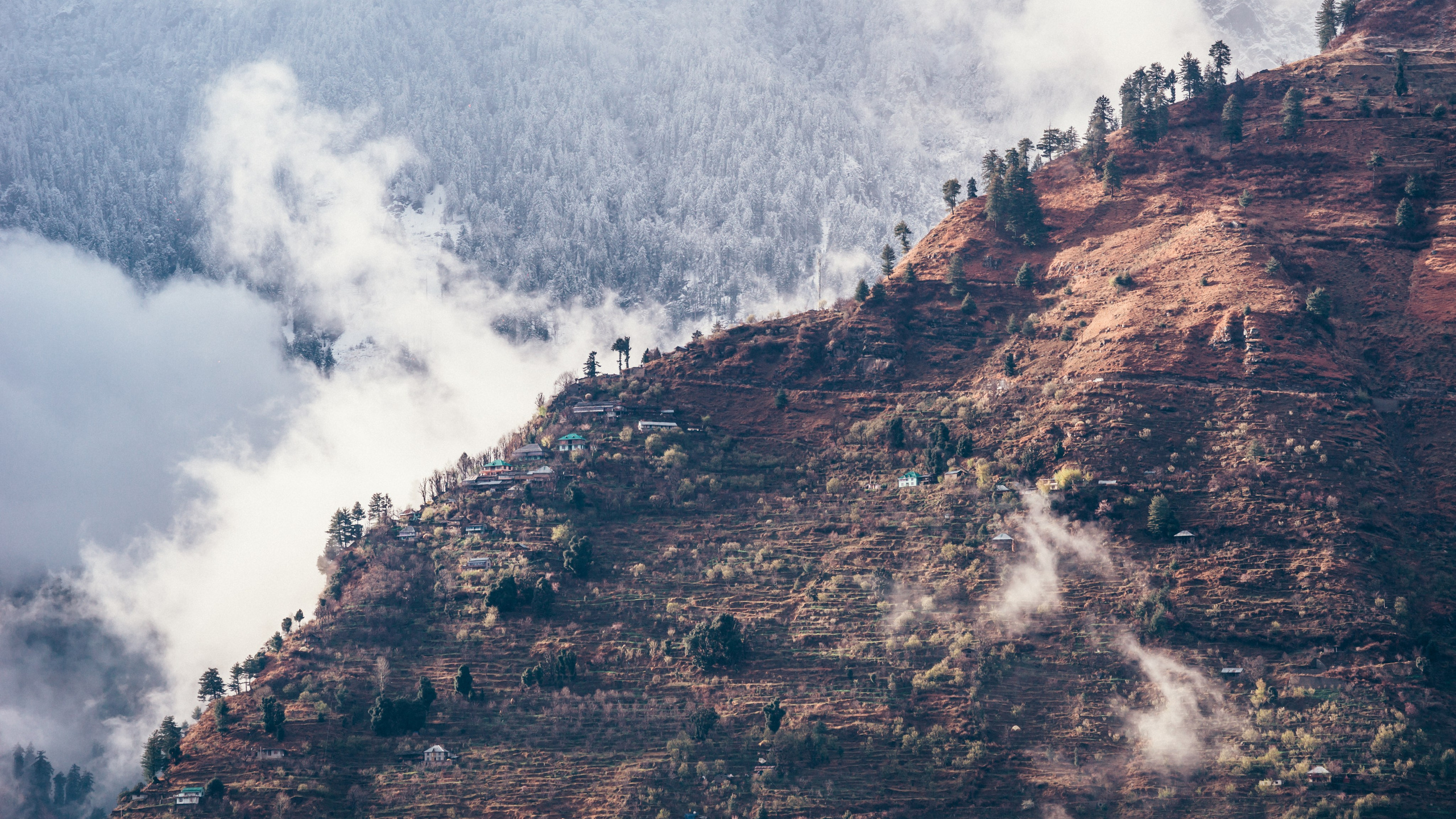 Индия. Фотограф Александр Решня