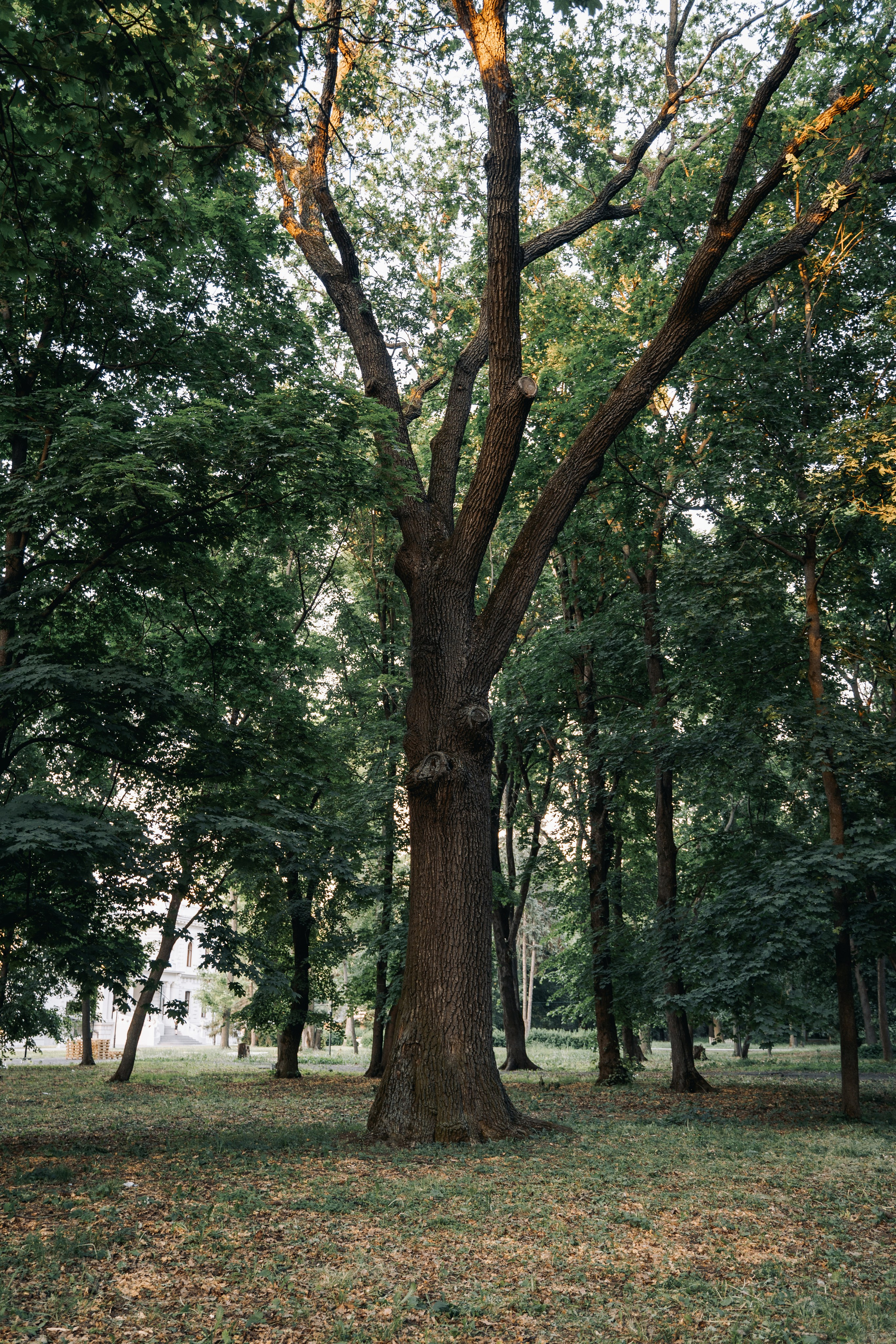 Места для съёмок. Фотограф Александр Решня