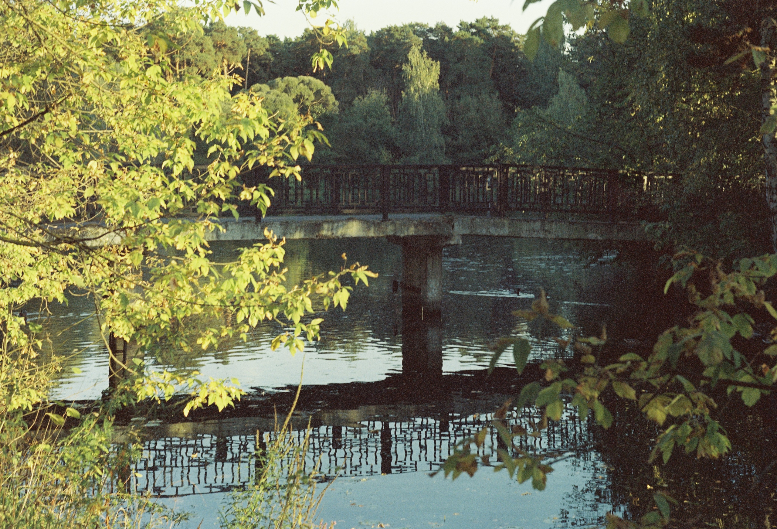 Съёмка на цветную фотопленку. Фотограф в Санкт-Петербурге и Москве Наталья Милли