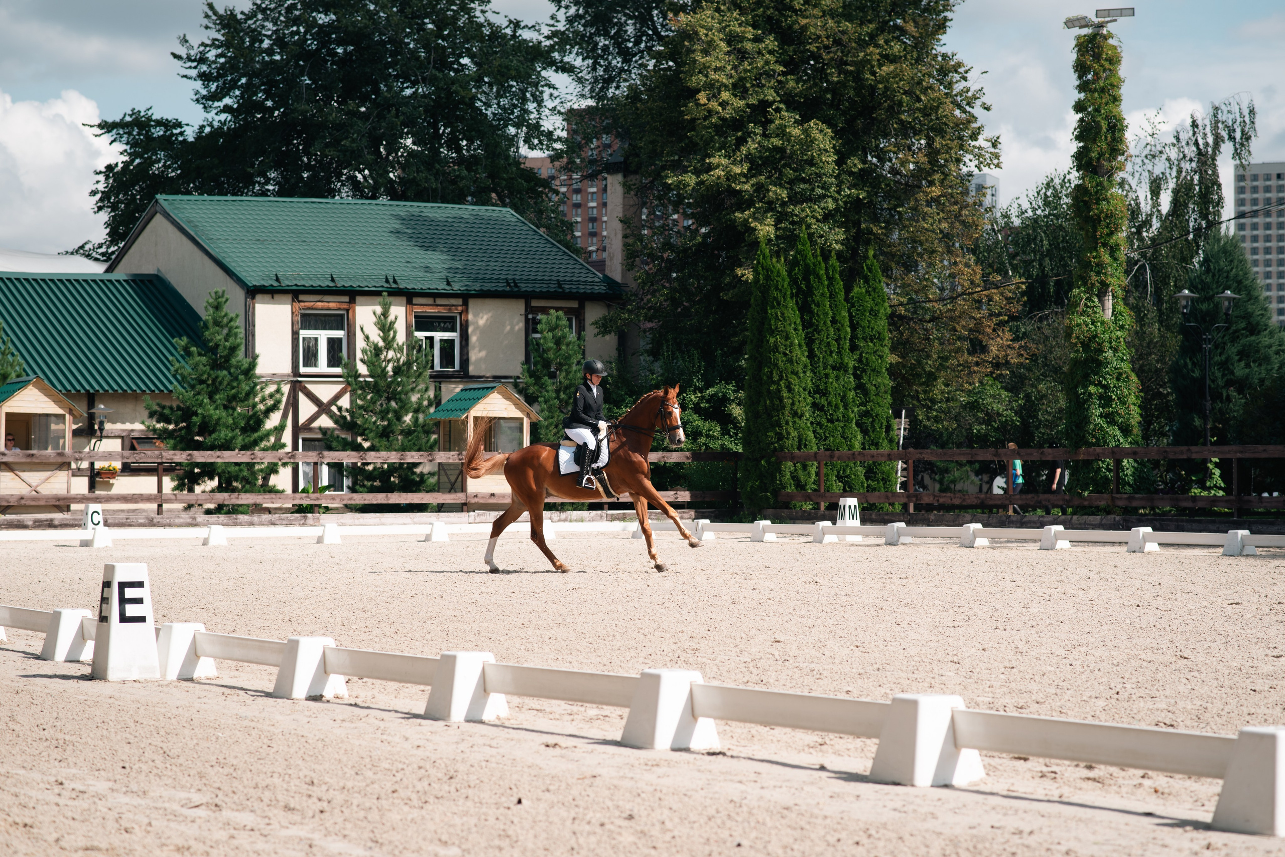 Выездка 10.08.25. Фотограф, визажист. Москва
