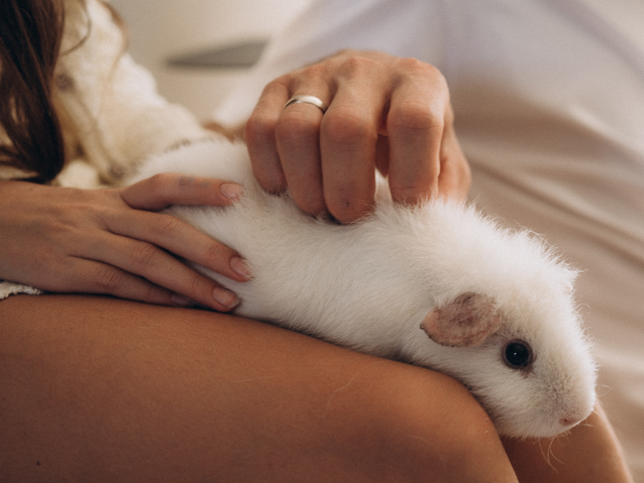 Семейная фотоистория. Фотограф Любовь Подосенова Липецк|Воронеж