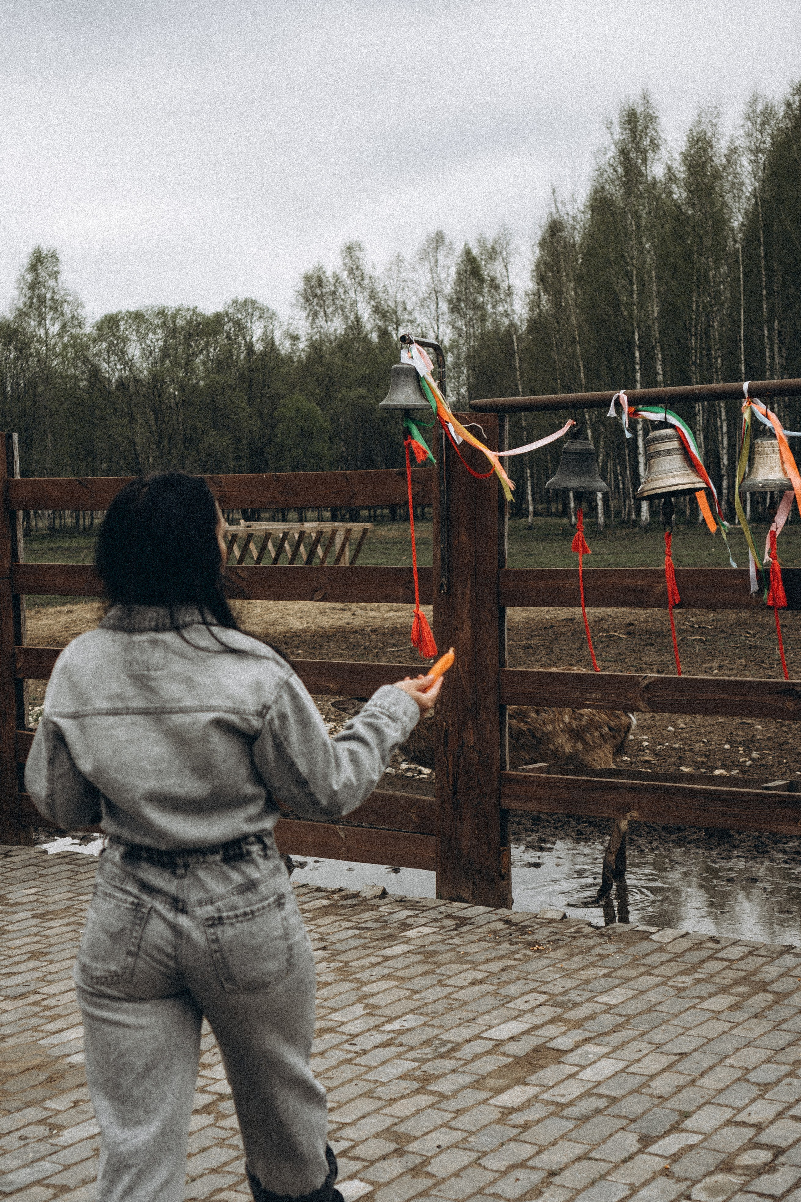 ОЛЕНЬЯ ФЕРМА В ТВЕРИ. Профессиональный фотограф, Санкт-Петербург — Виктория Богомолова