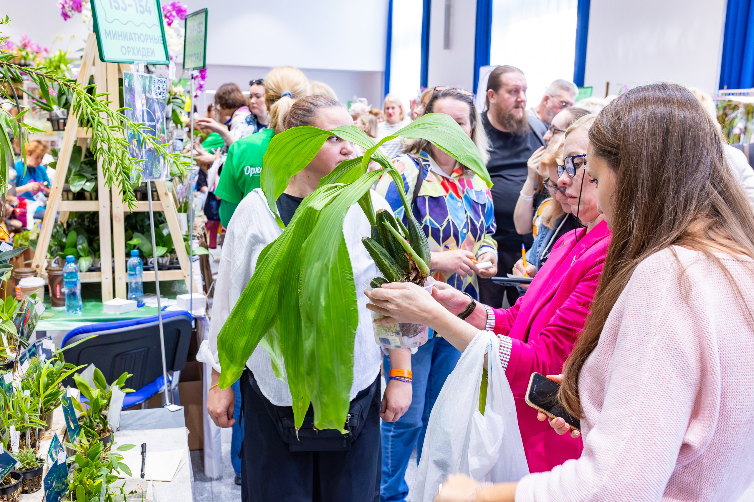 Орхидиум сентябрь 2025. Александра Куликова фотограф, Москва