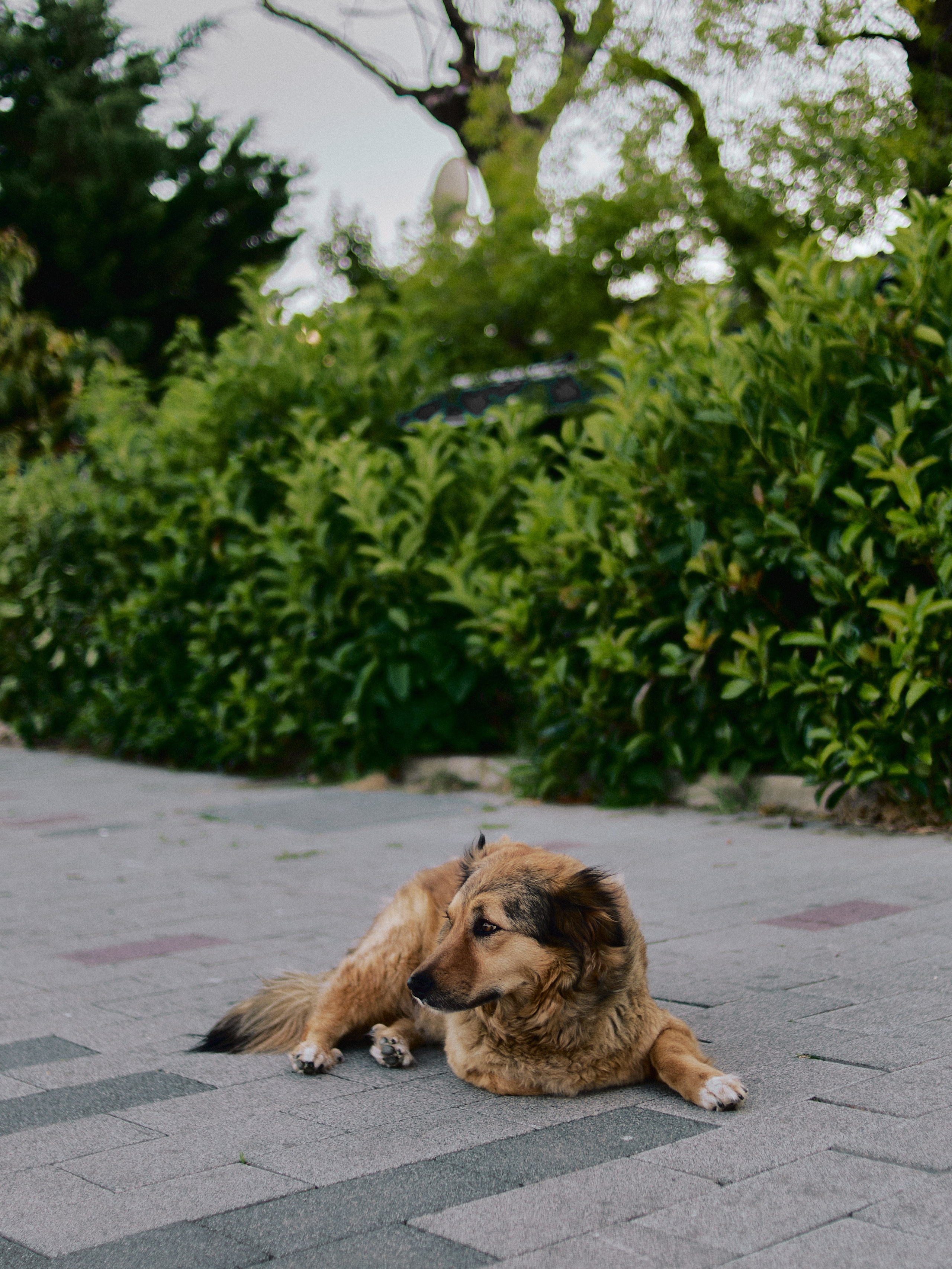 Другое 3. Jorgis Talè — photographer, kind person, teacher of arts and other mag