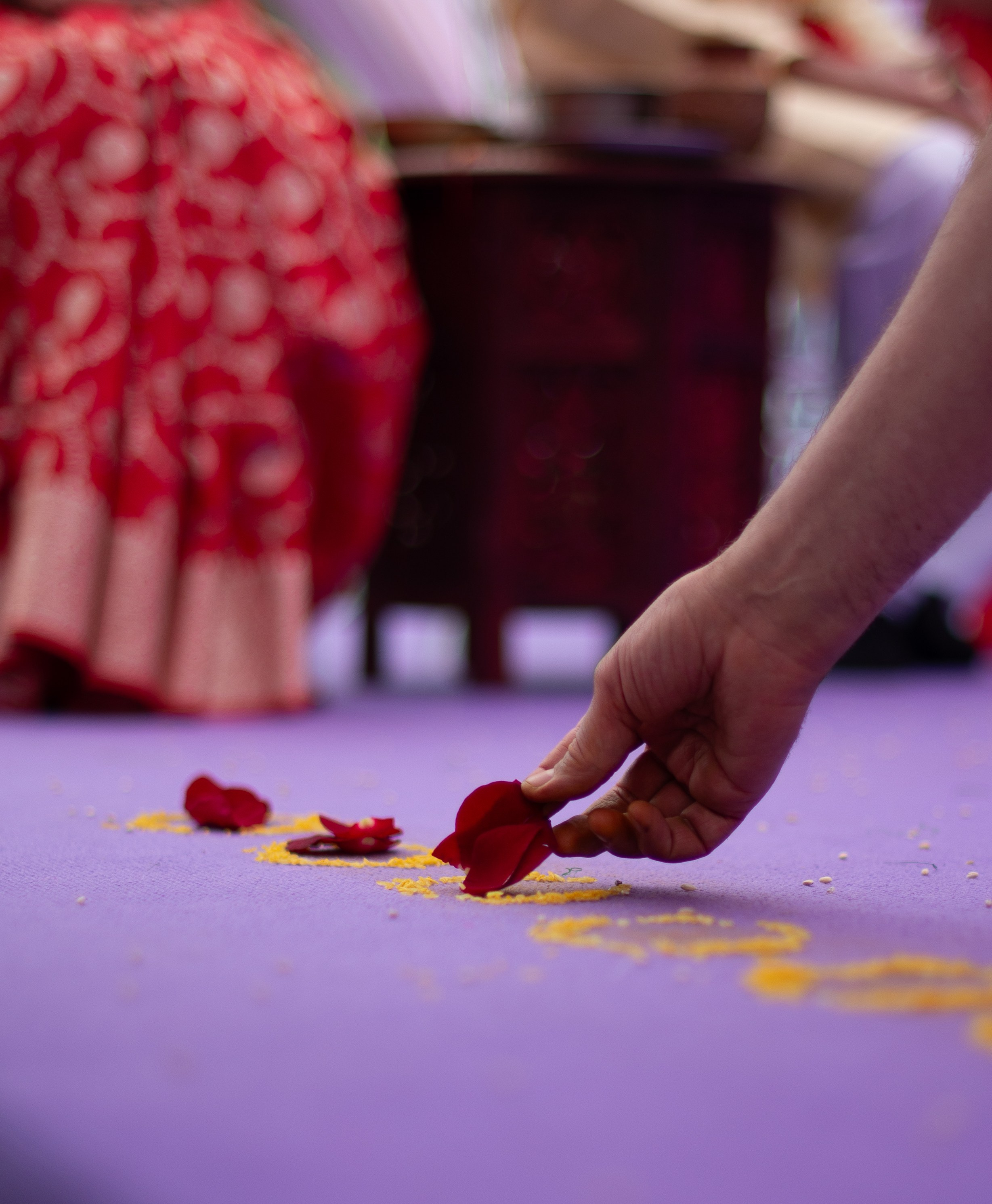 Свадьба в ведической традиции на фестивале День Индии 2025. Victoria Radjevna Репортажный Фотограф — Видеограф Москва • Санкт-Петербург