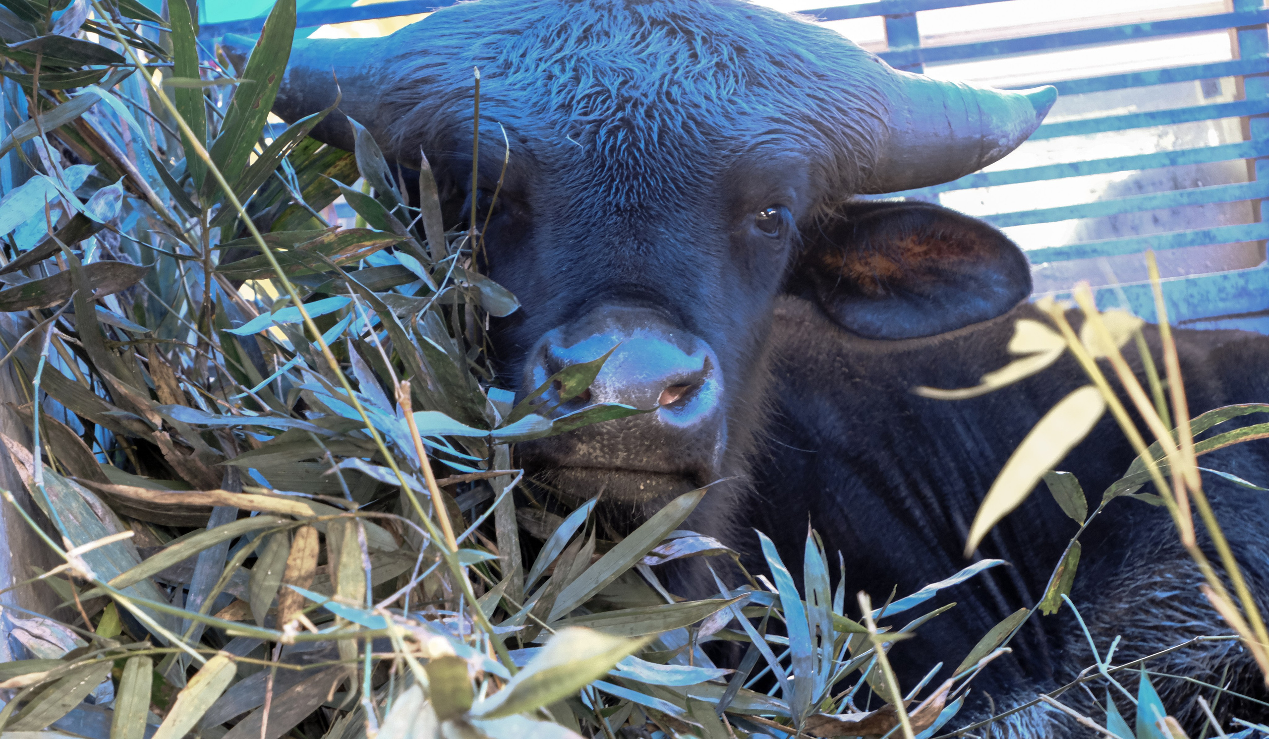 День 6-й. Фотографии из путешествий