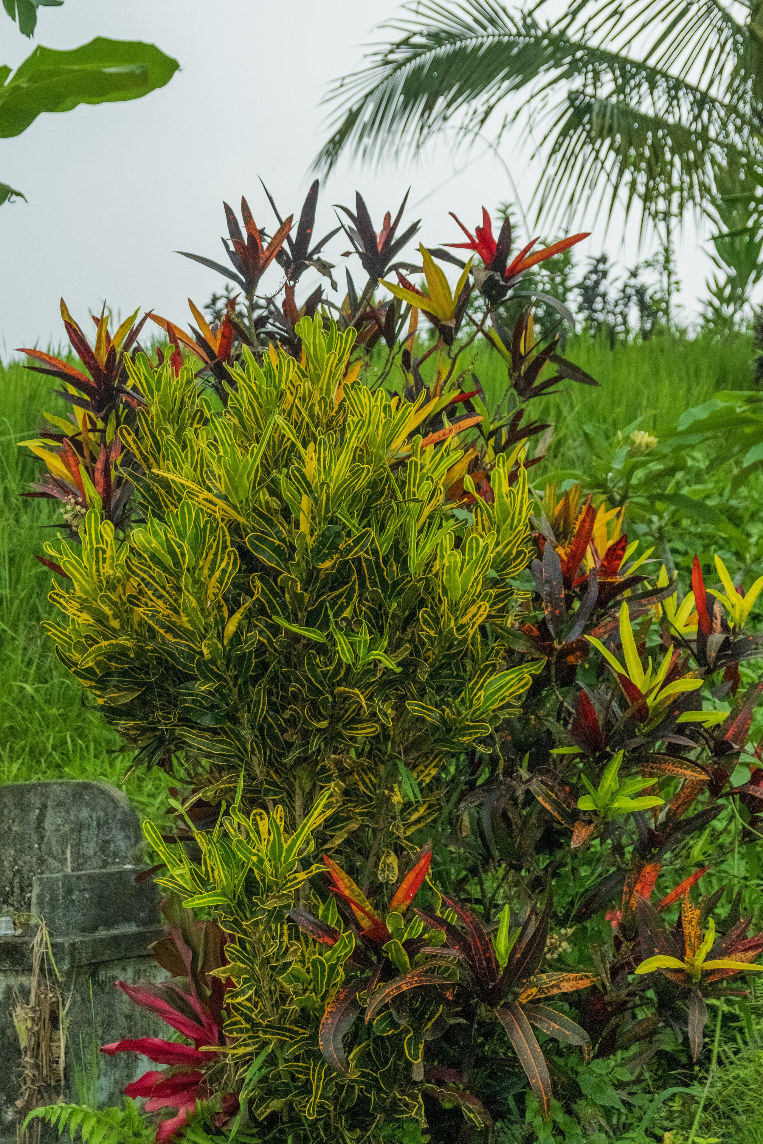 Остров Бали. Фотографии из путешествий