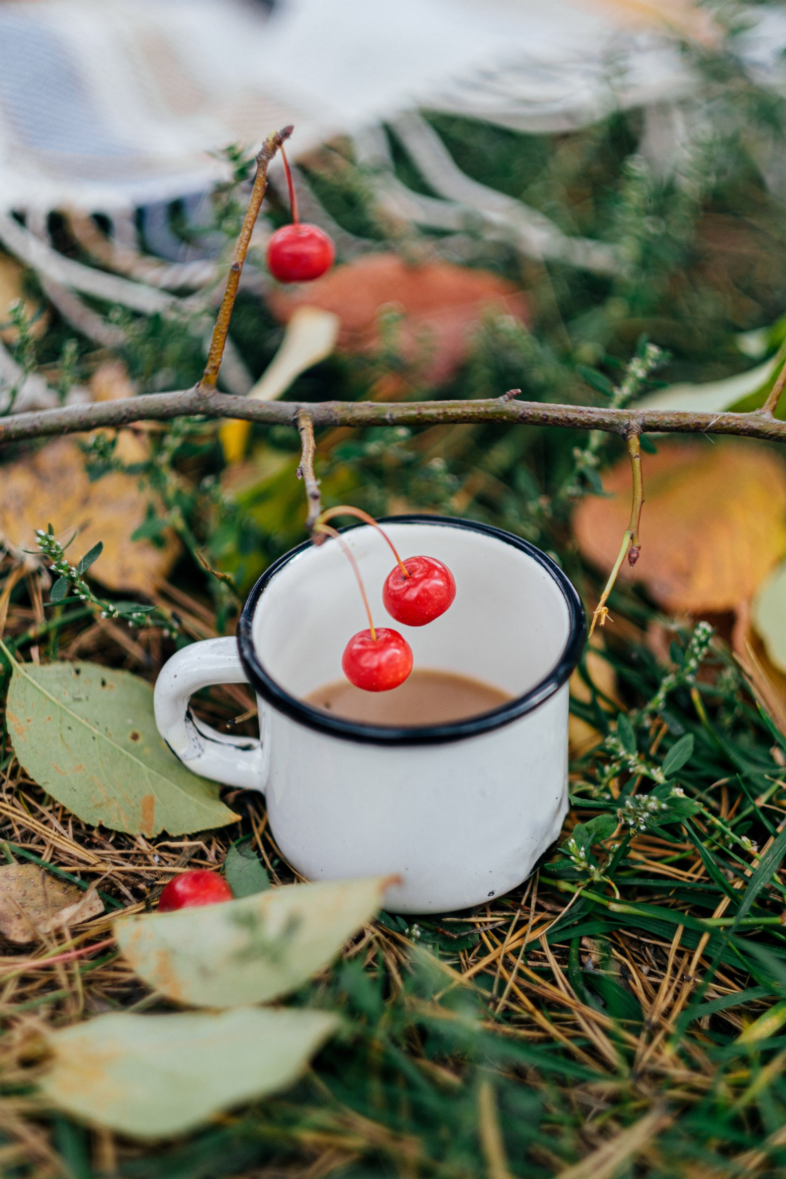 Осенний пикник. Свадебный Видеограф Фотограф в Сочи