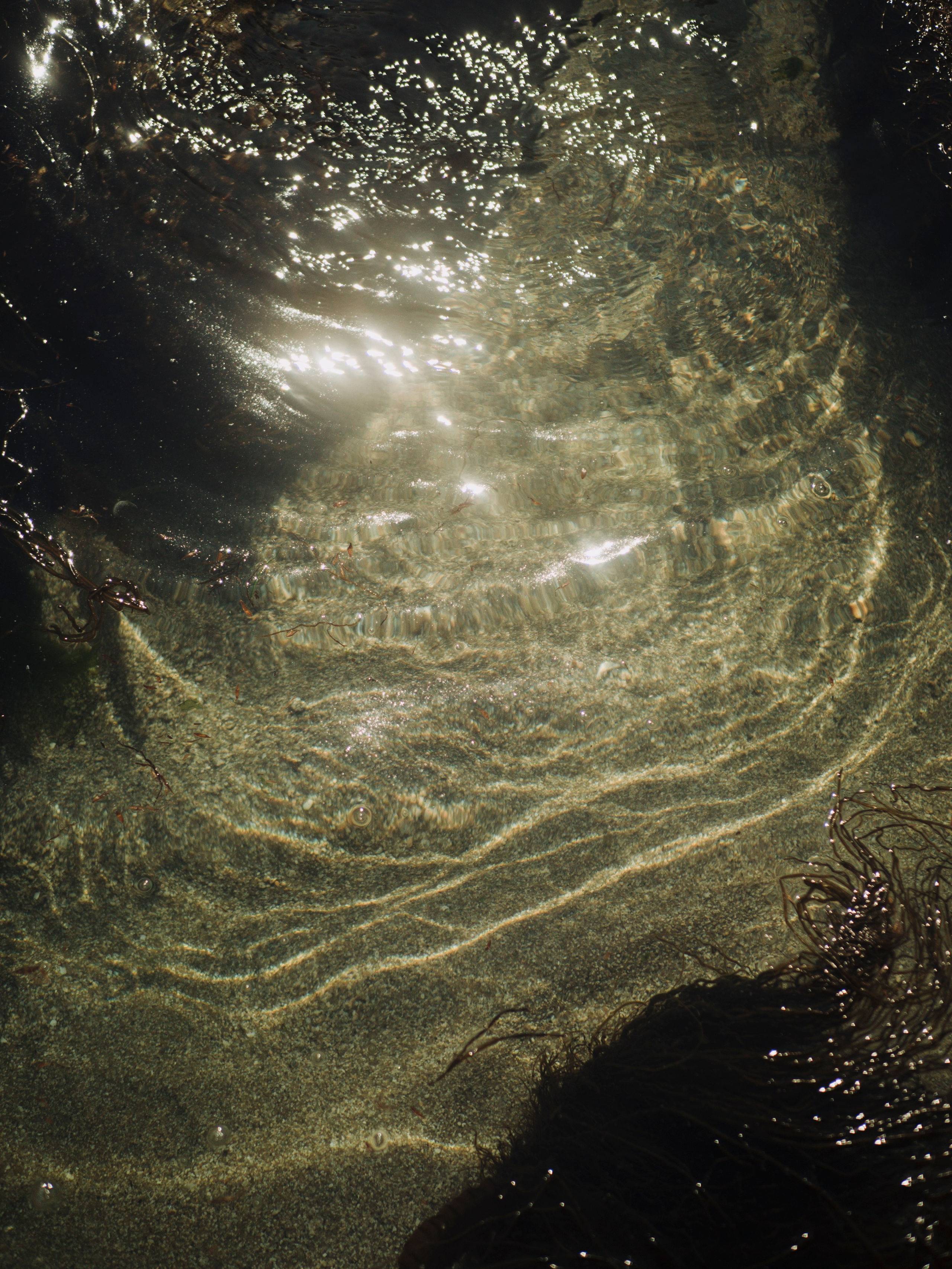 Дикий пляж Триозерье. Фотограф и видеограф в Благовещенске и Санкт-Петербурге Мурыгина Мария