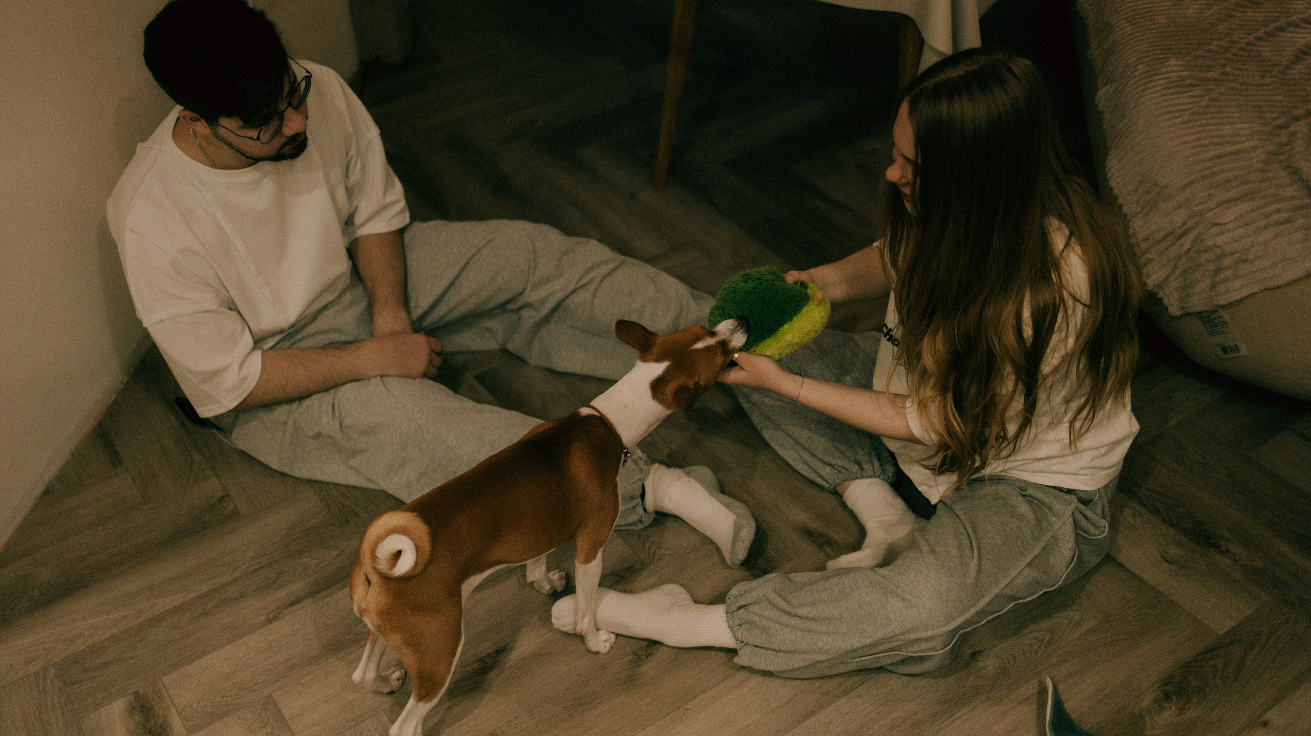 Люба, Никита и Бахати. Фотограф-анималист Богданова Полина