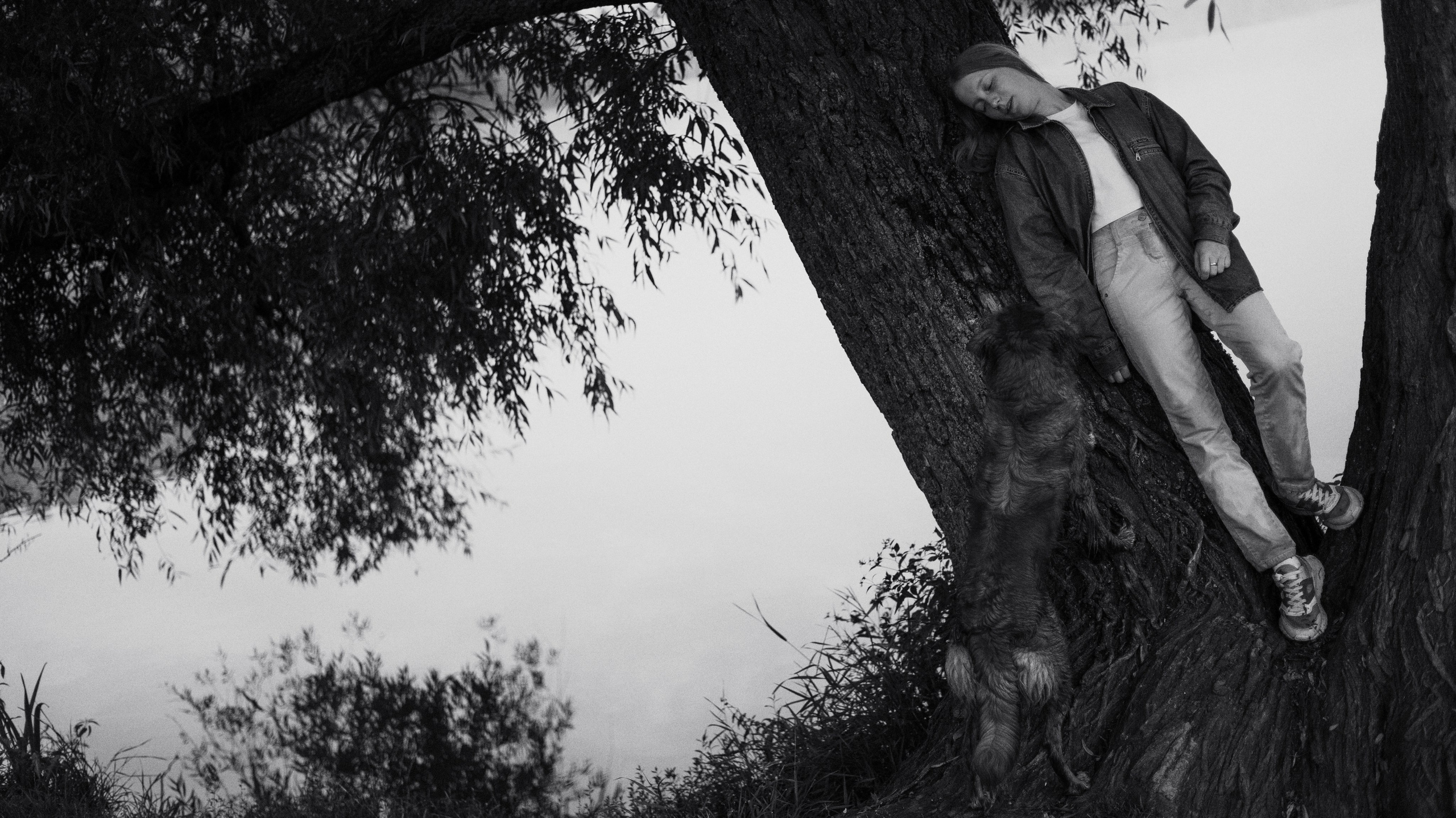 Ксюша и Мэди. Фотограф-анималист Богданова Полина